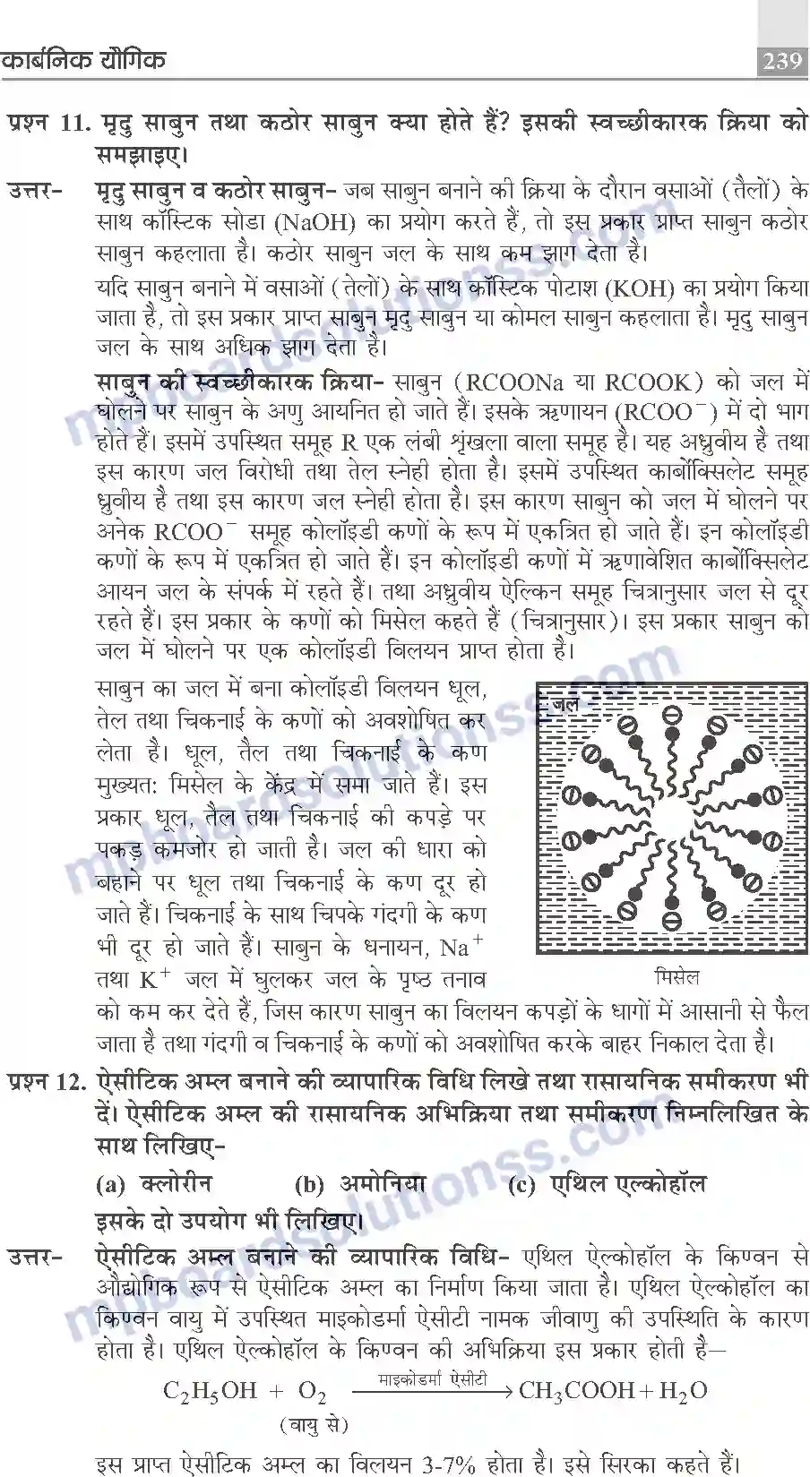 MP Board Book for Class 10 Publication Books Science Image 239