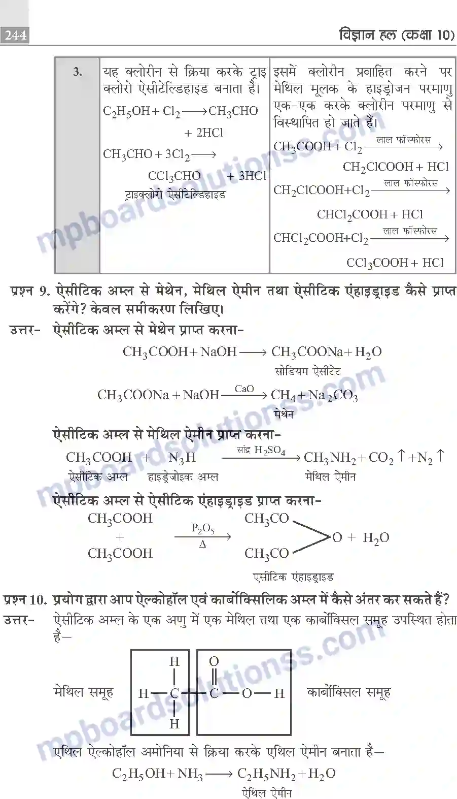 MP Board Book for Class 10 Publication Books Science Image 244