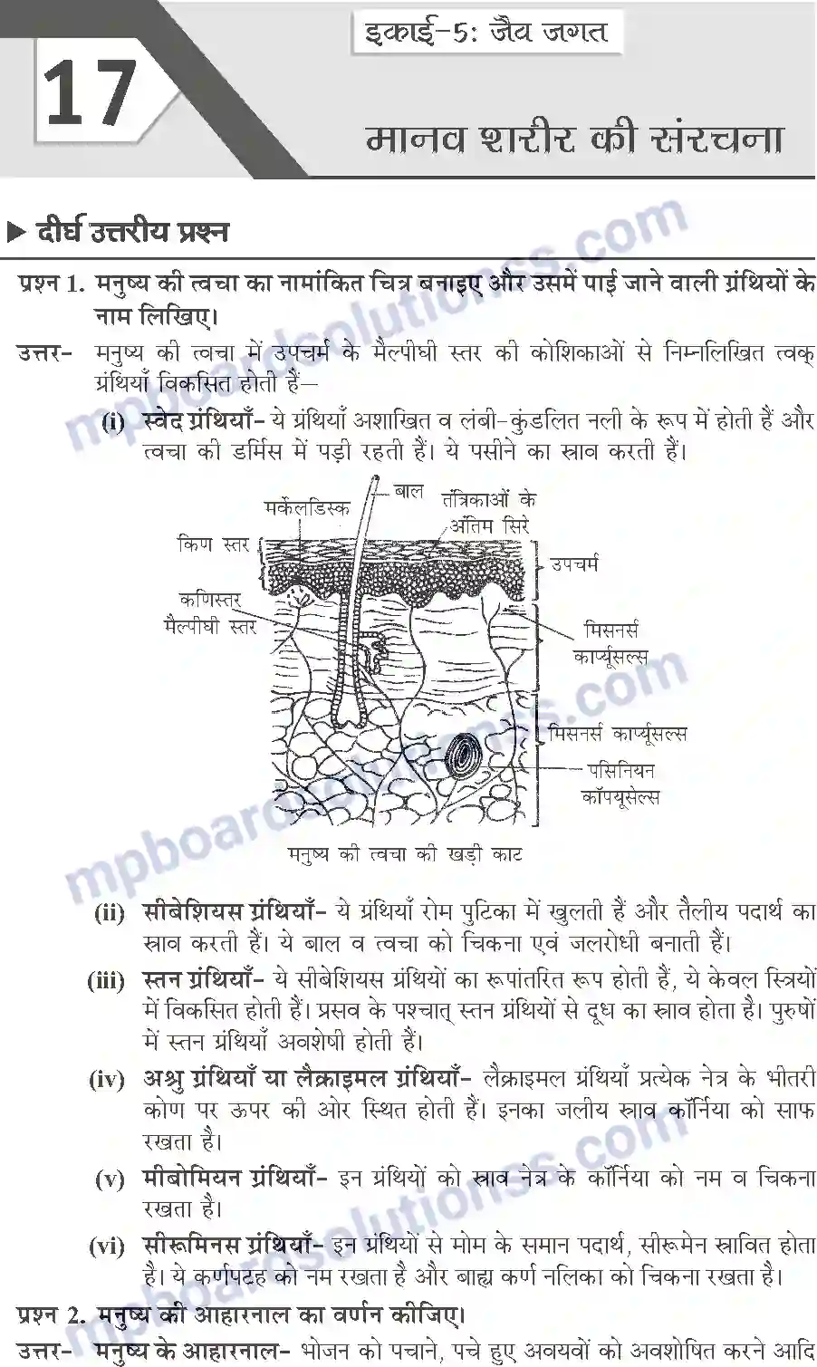 MP Board Book for Class 10 Publication Books Science Image 246