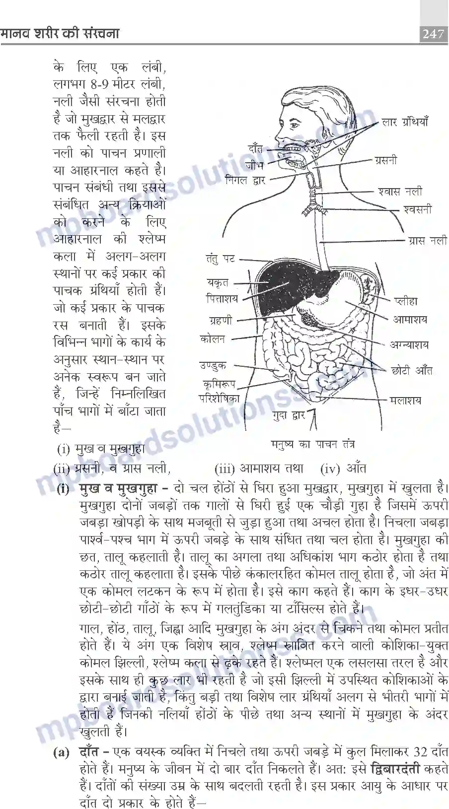 MP Board Book for Class 10 Publication Books Science Image 247