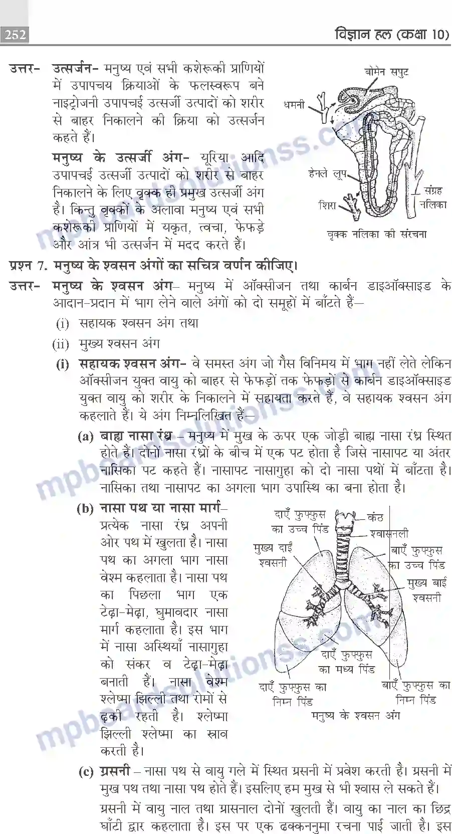 MP Board Book for Class 10 Publication Books Science Image 252