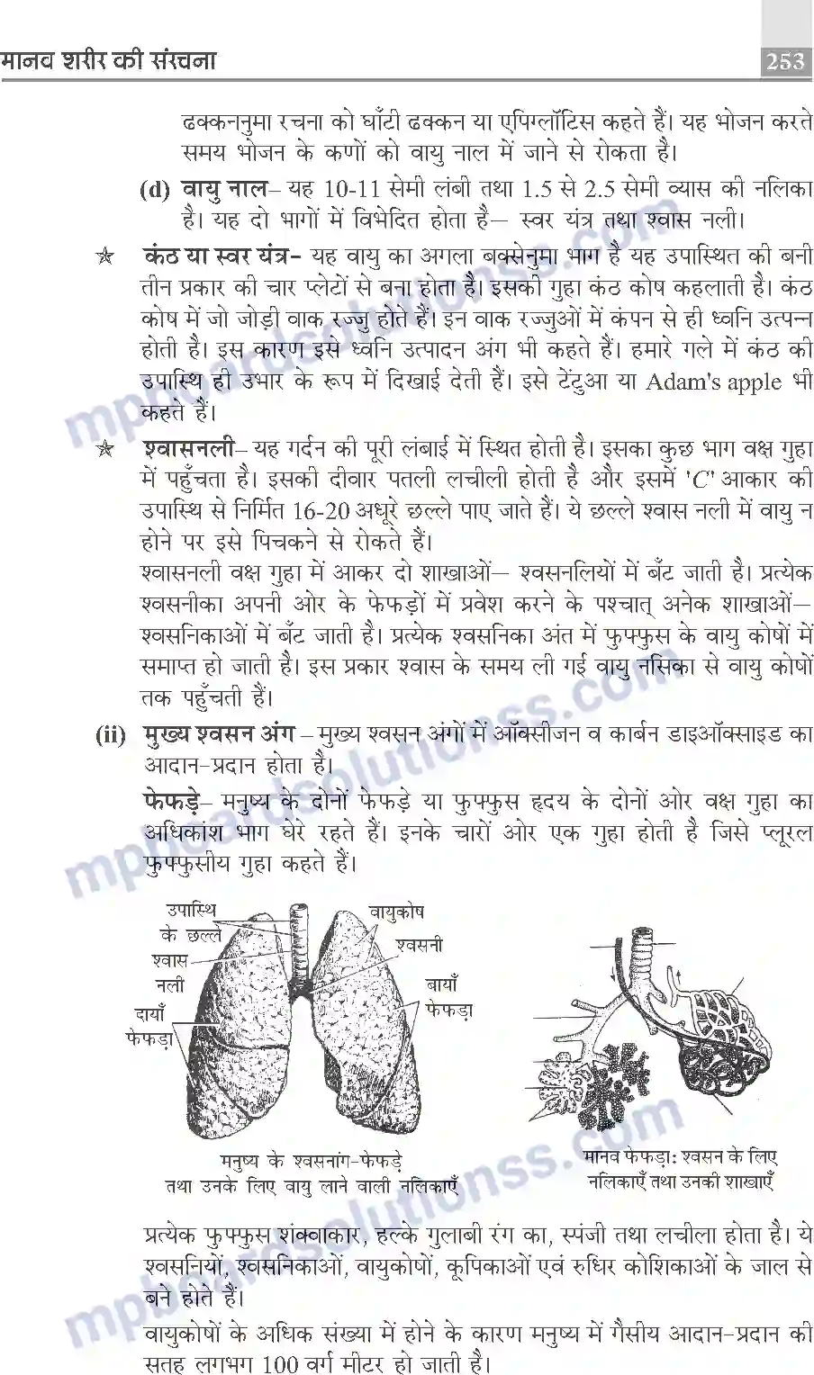MP Board Book for Class 10 Publication Books Science Image 253