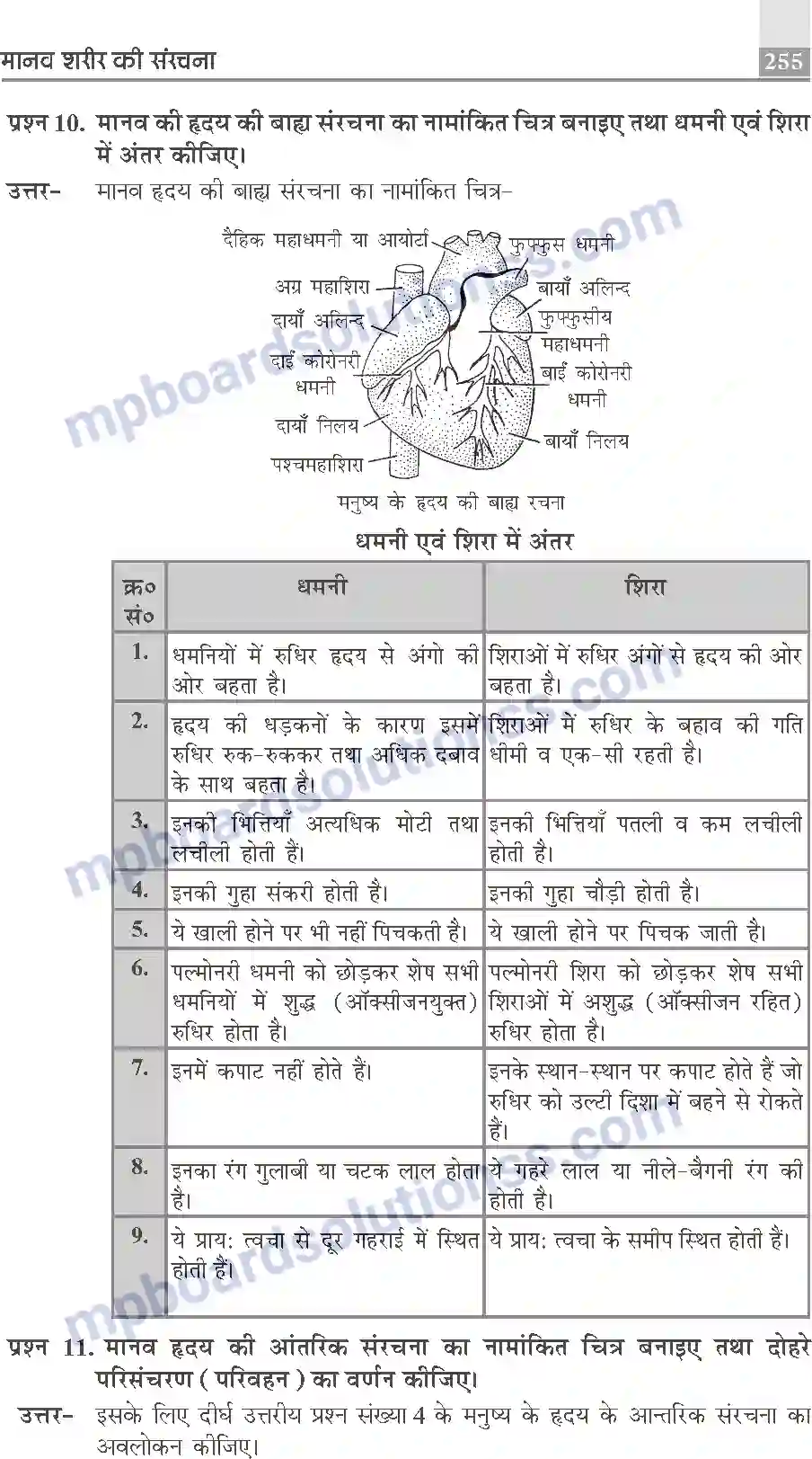 MP Board Book for Class 10 Publication Books Science Image 255
