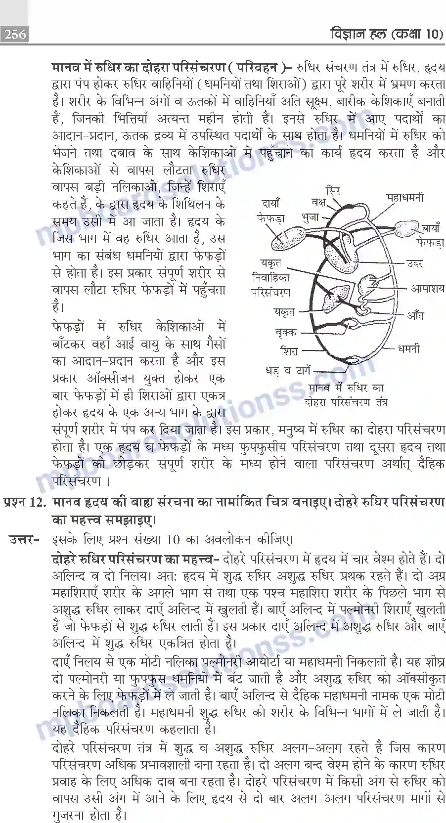 MP Board Book for Class 10 Publication Books Science Image 256
