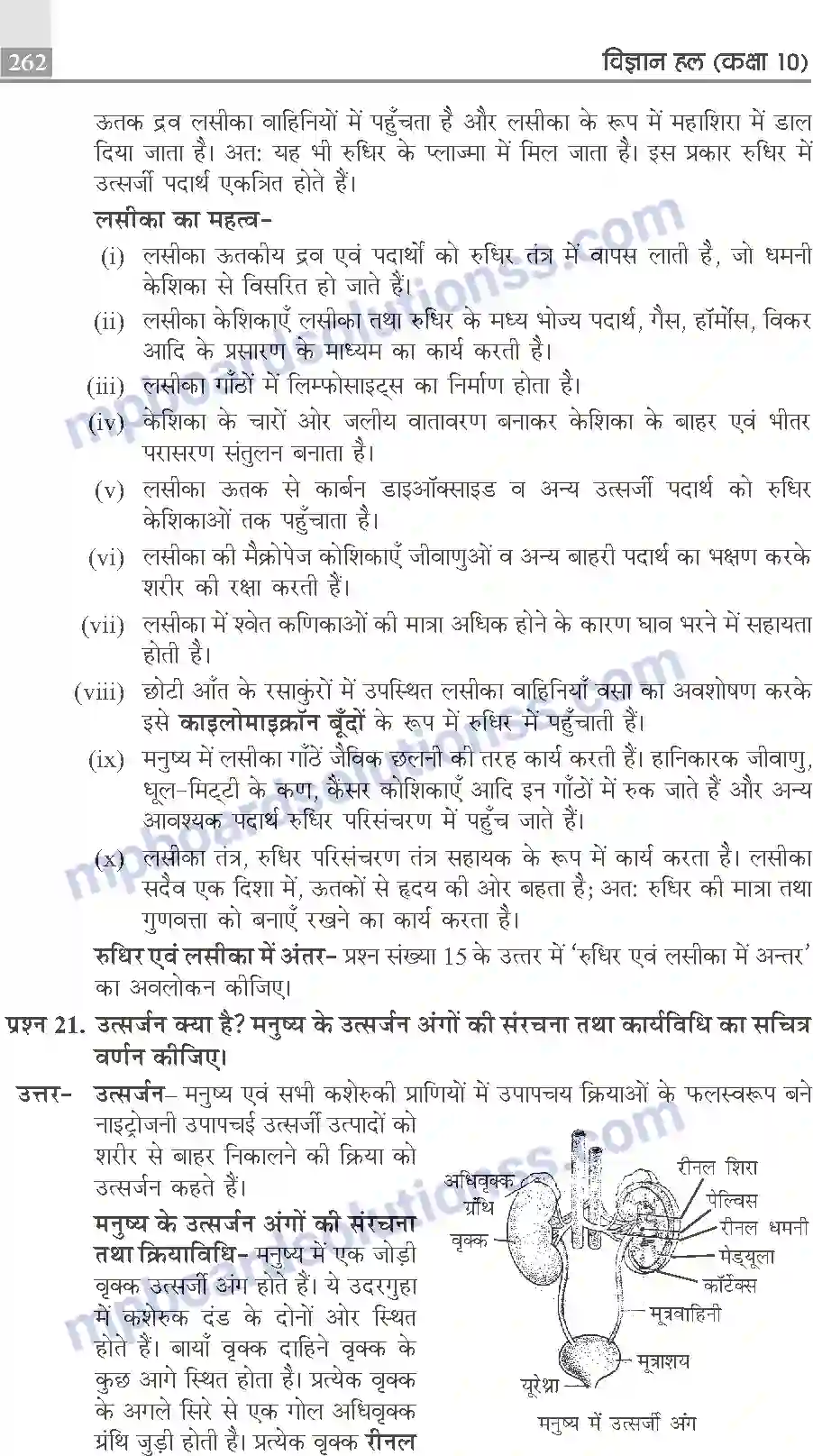 MP Board Book for Class 10 Publication Books Science Image 262