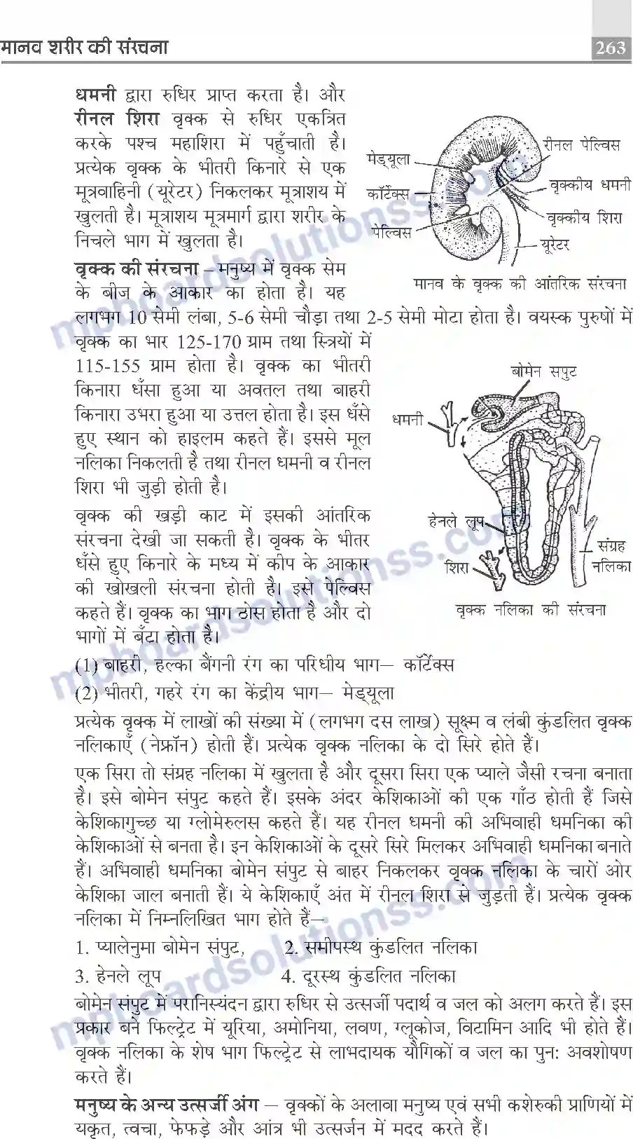 MP Board Book for Class 10 Publication Books Science Image 263