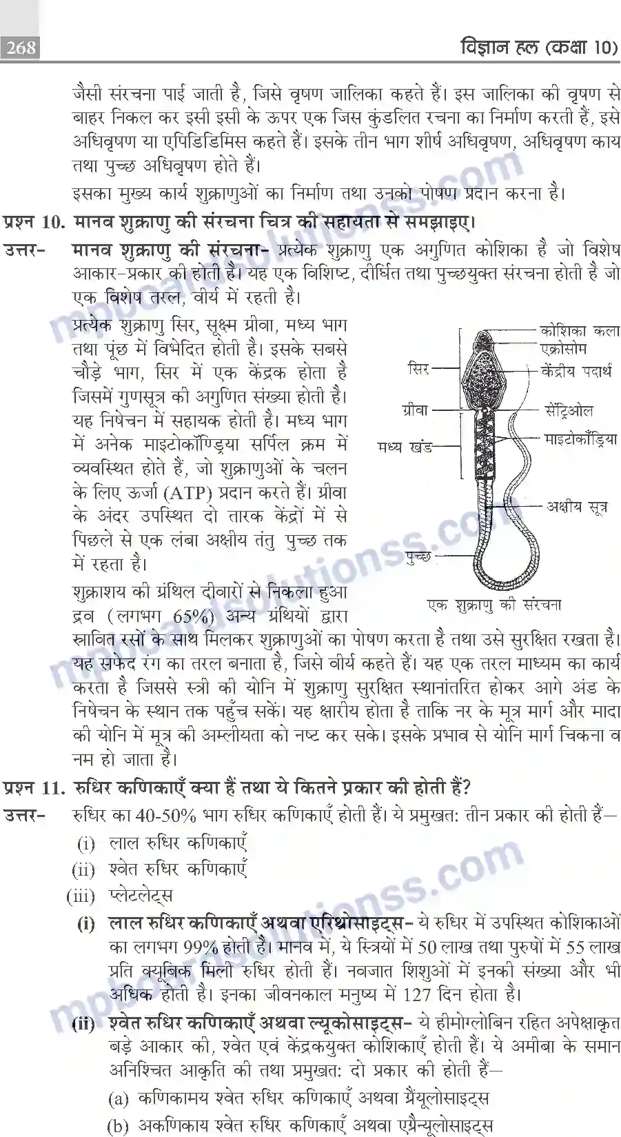 MP Board Book for Class 10 Publication Books Science Image 268