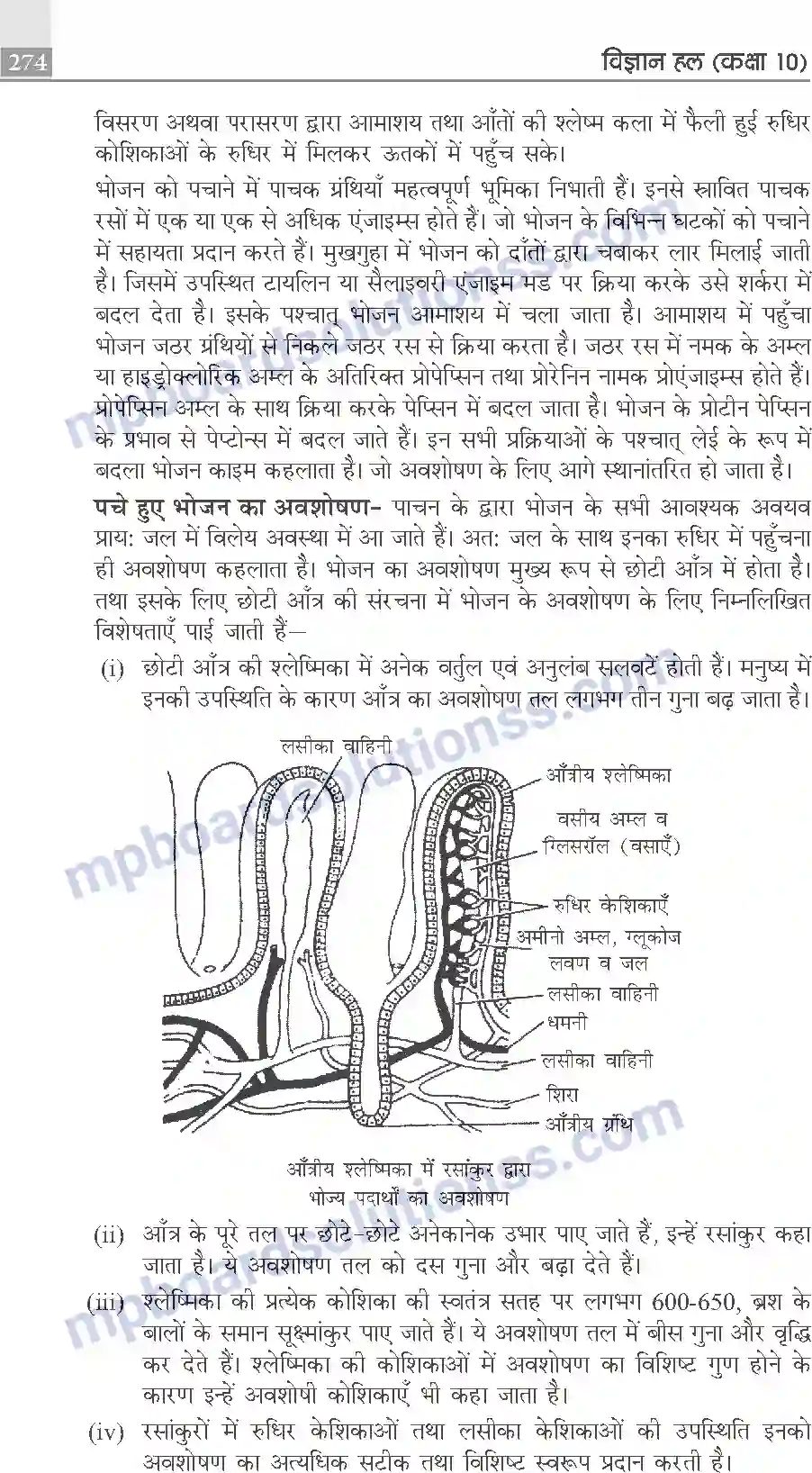 MP Board Book for Class 10 Publication Books Science Image 274