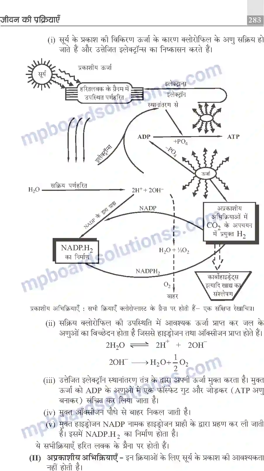 MP Board Book for Class 10 Publication Books Science Image 283