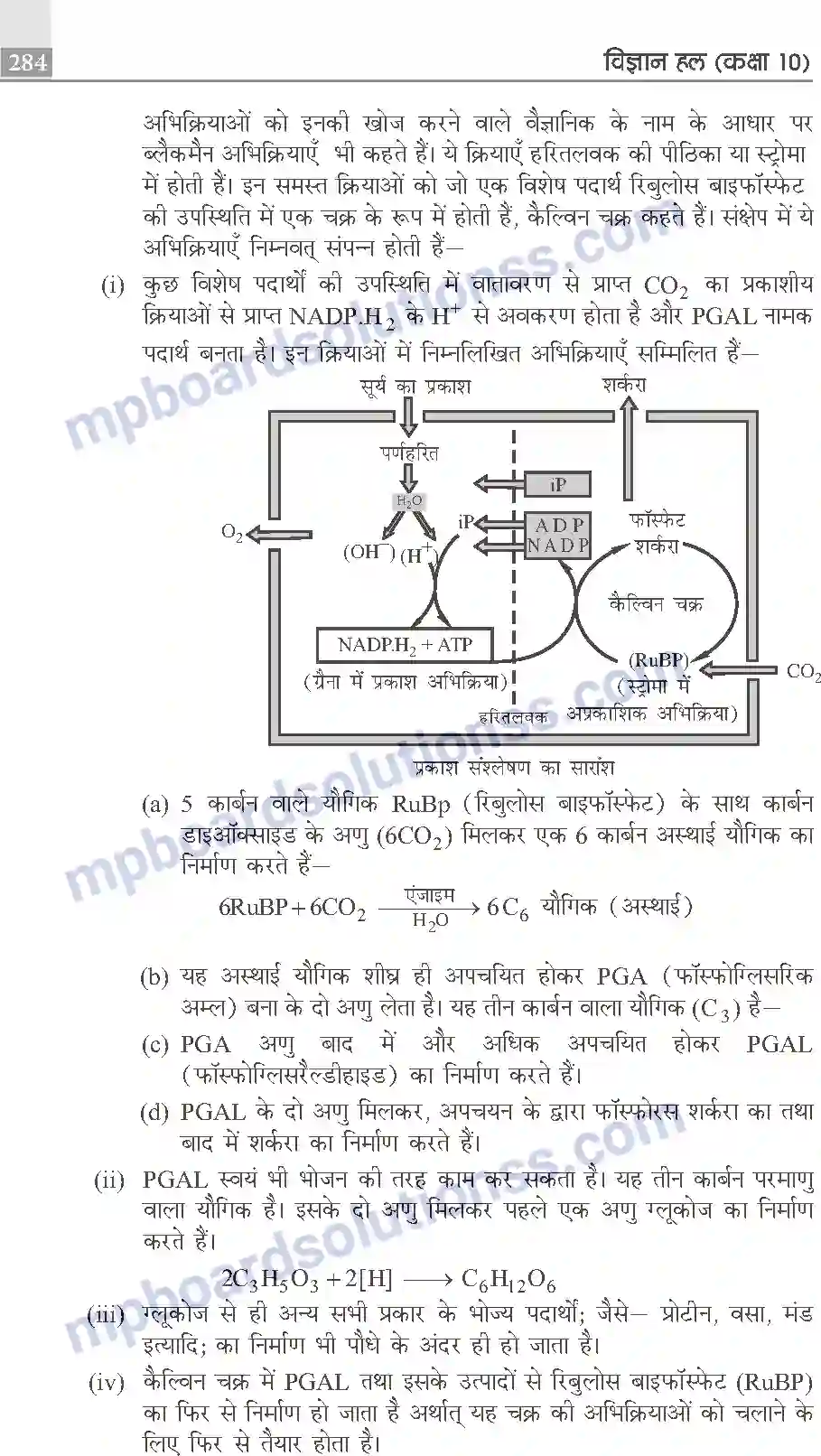 MP Board Book for Class 10 Publication Books Science Image 284