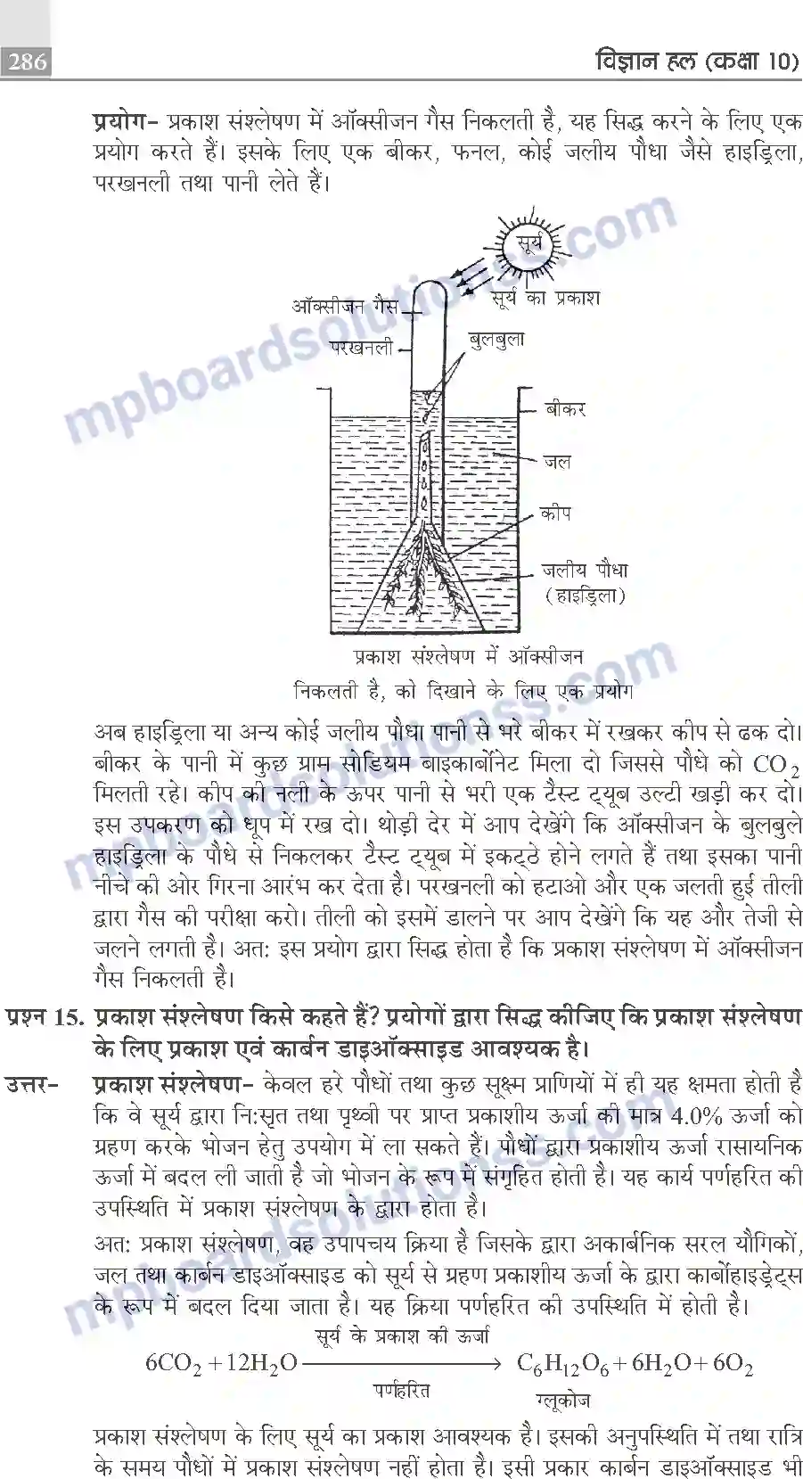 MP Board Book for Class 10 Publication Books Science Image 286