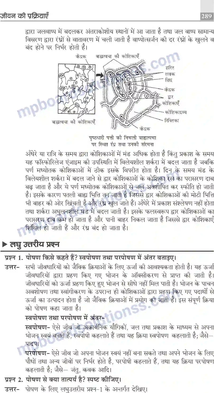 MP Board Book for Class 10 Publication Books Science Image 289