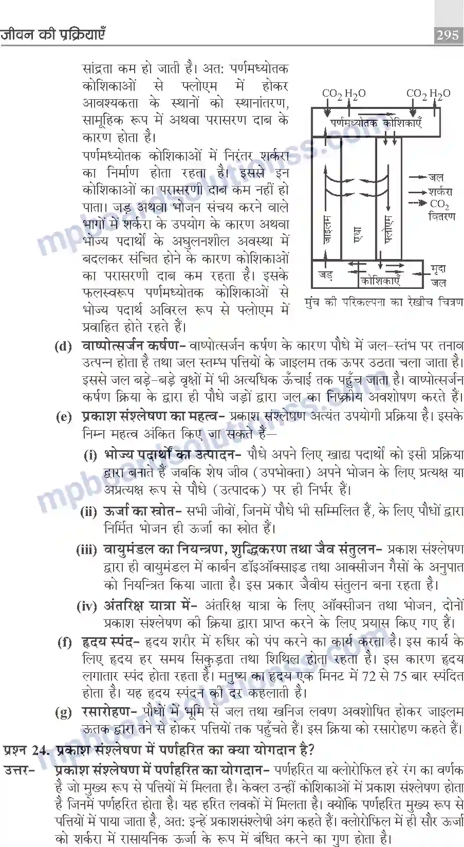 MP Board Book for Class 10 Publication Books Science Image 295
