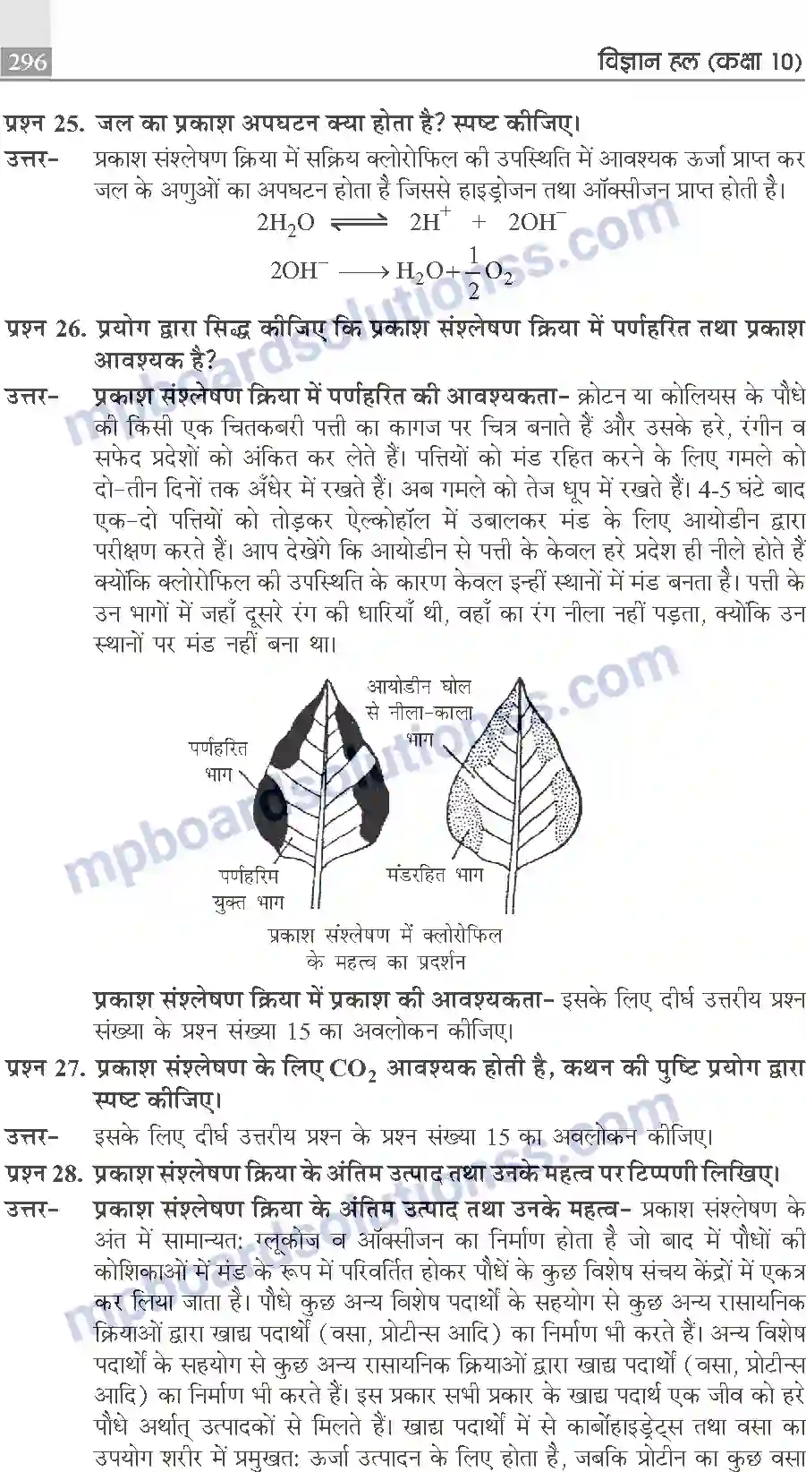 MP Board Book for Class 10 Publication Books Science Image 296