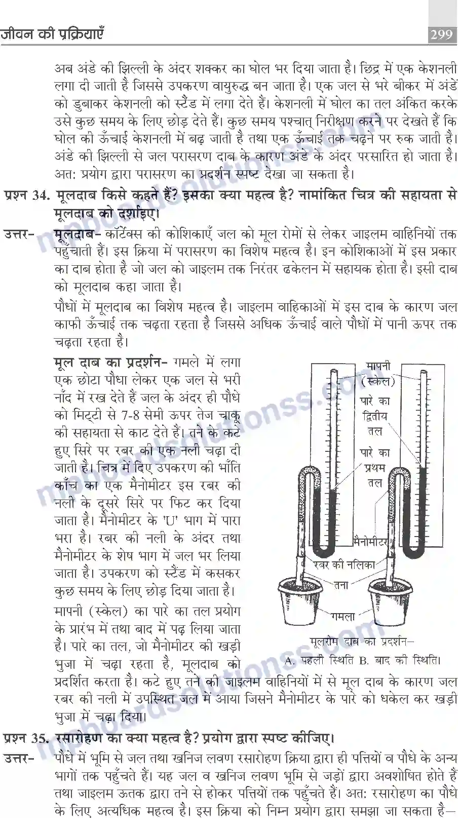 MP Board Book for Class 10 Publication Books Science Image 299