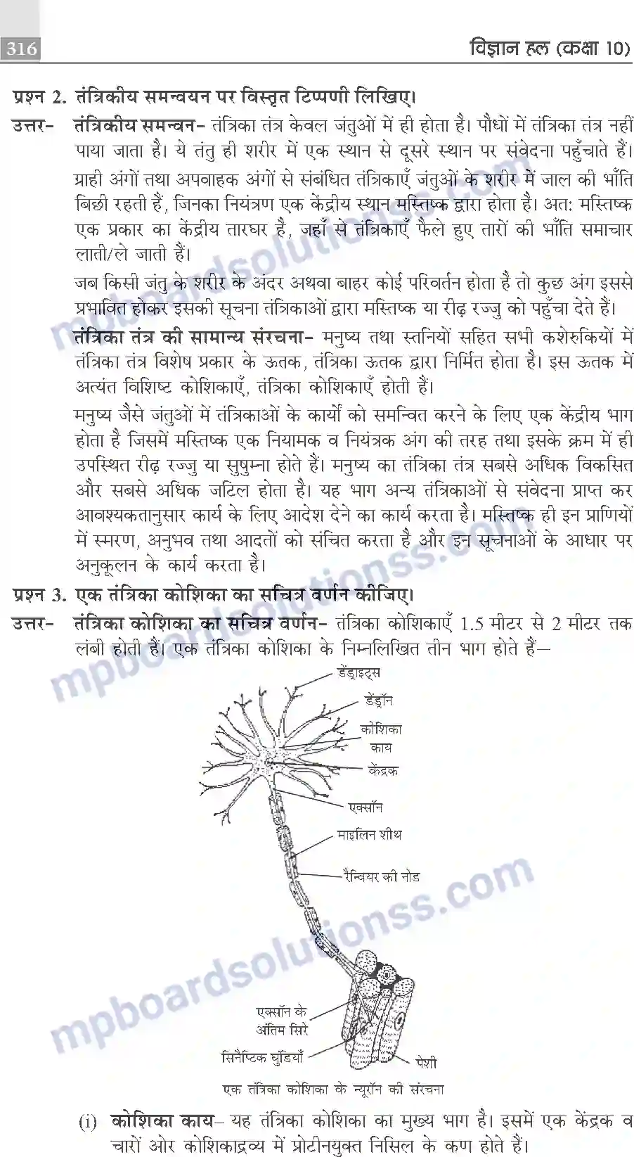 MP Board Book for Class 10 Publication Books Science Image 316