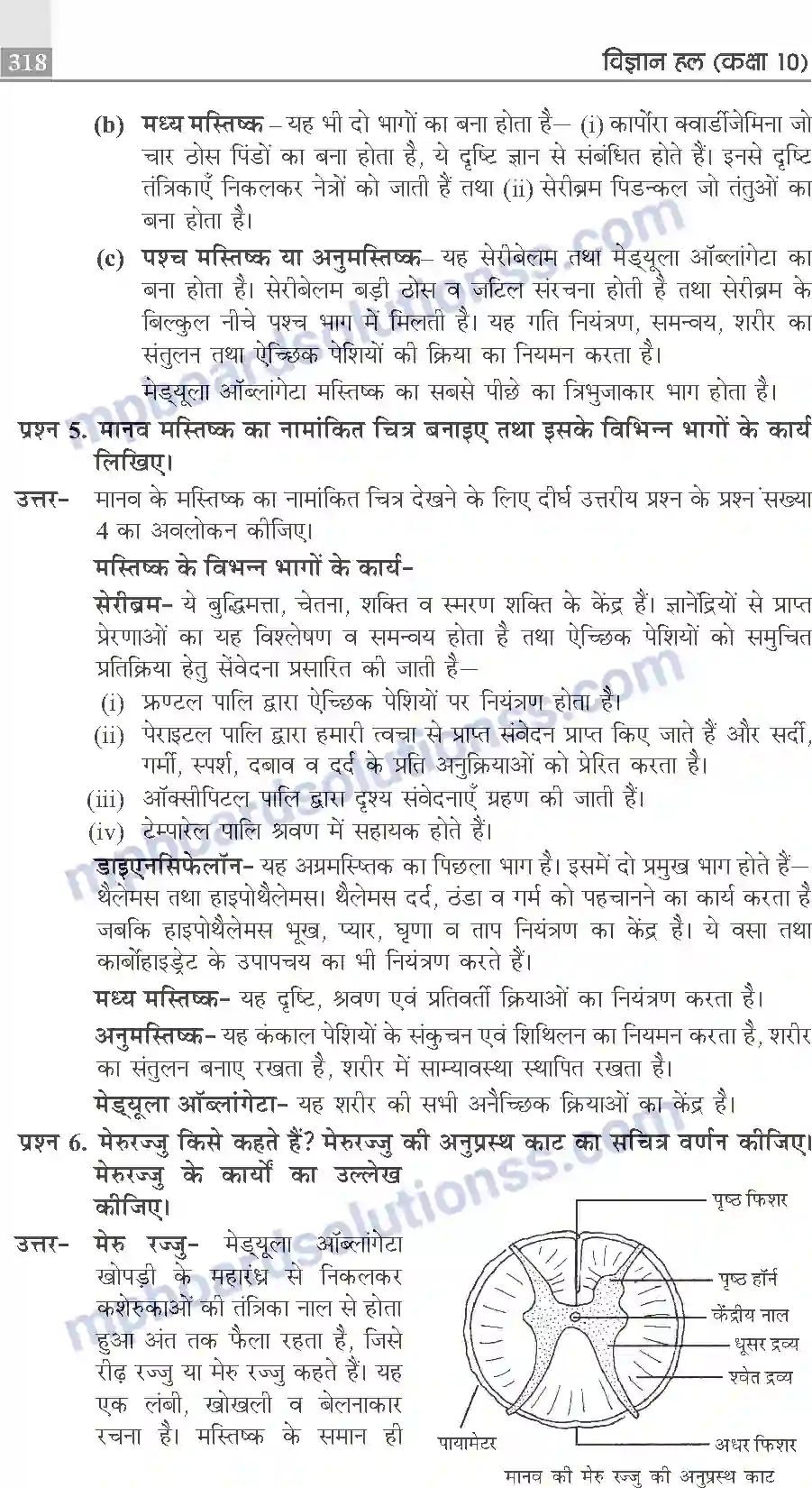 MP Board Book for Class 10 Publication Books Science Image 318