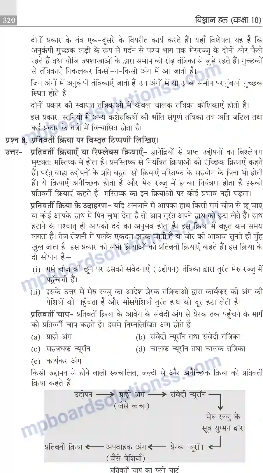 MP Board Book for Class 10 Publication Books Science Image 320