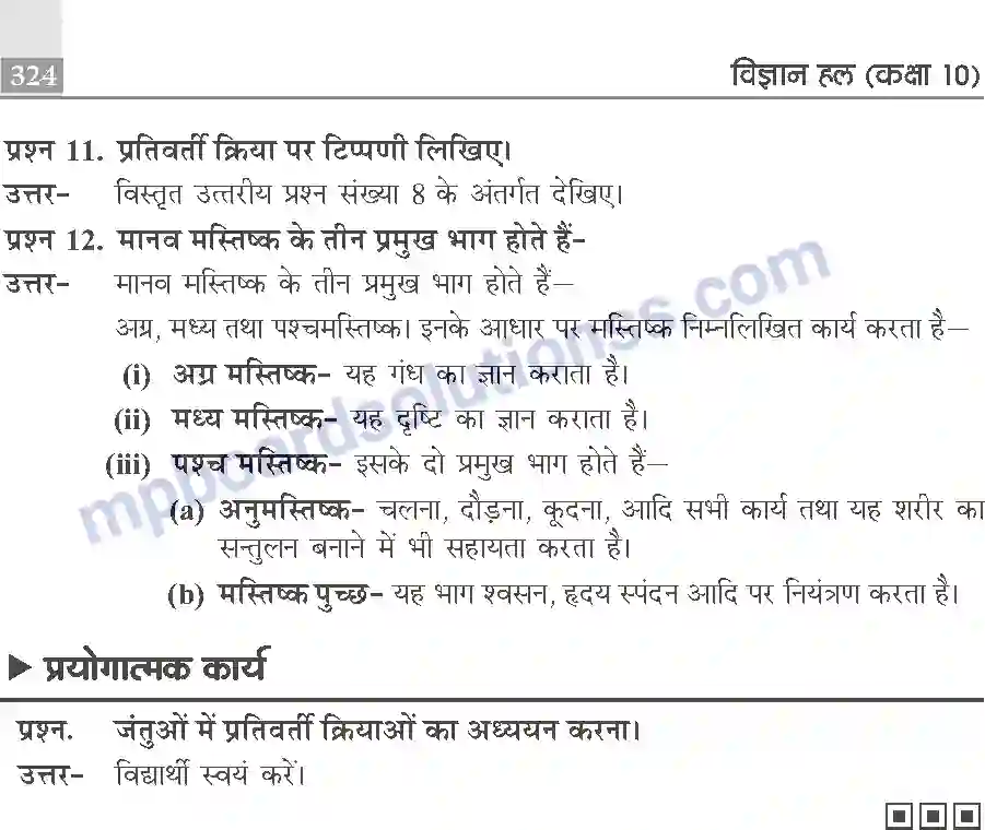 MP Board Book for Class 10 Publication Books Science Image 324