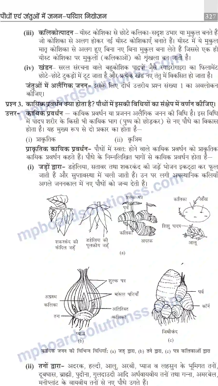 MP Board Book for Class 10 Publication Books Science Image 327