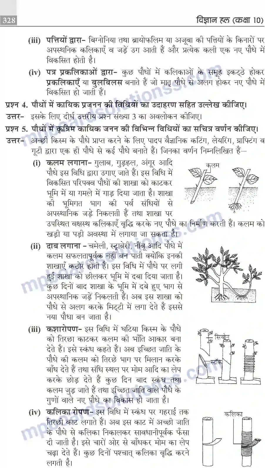 MP Board Book for Class 10 Publication Books Science Image 328