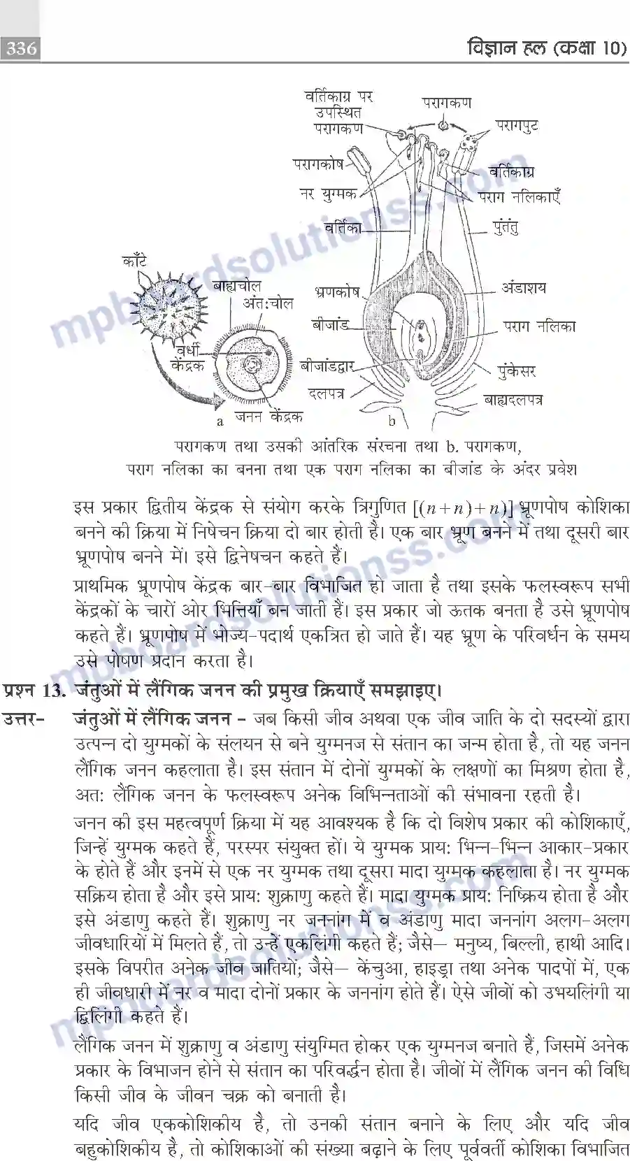MP Board Book for Class 10 Publication Books Science Image 336