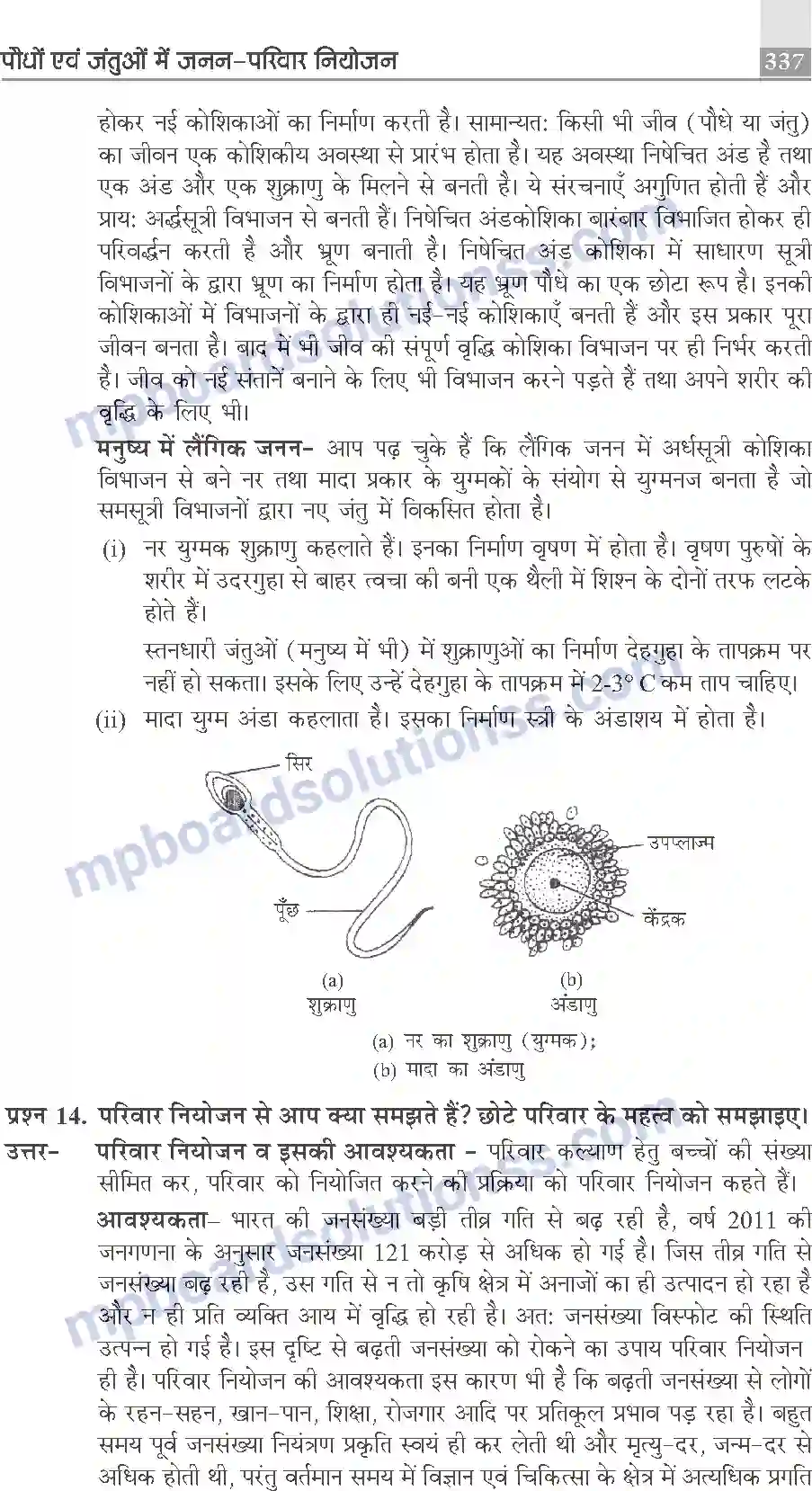 MP Board Book for Class 10 Publication Books Science Image 337