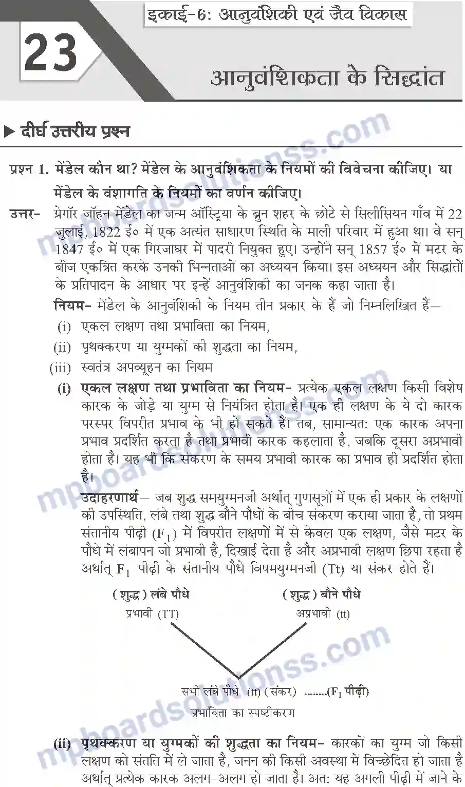 MP Board Book for Class 10 Publication Books Science Image 352