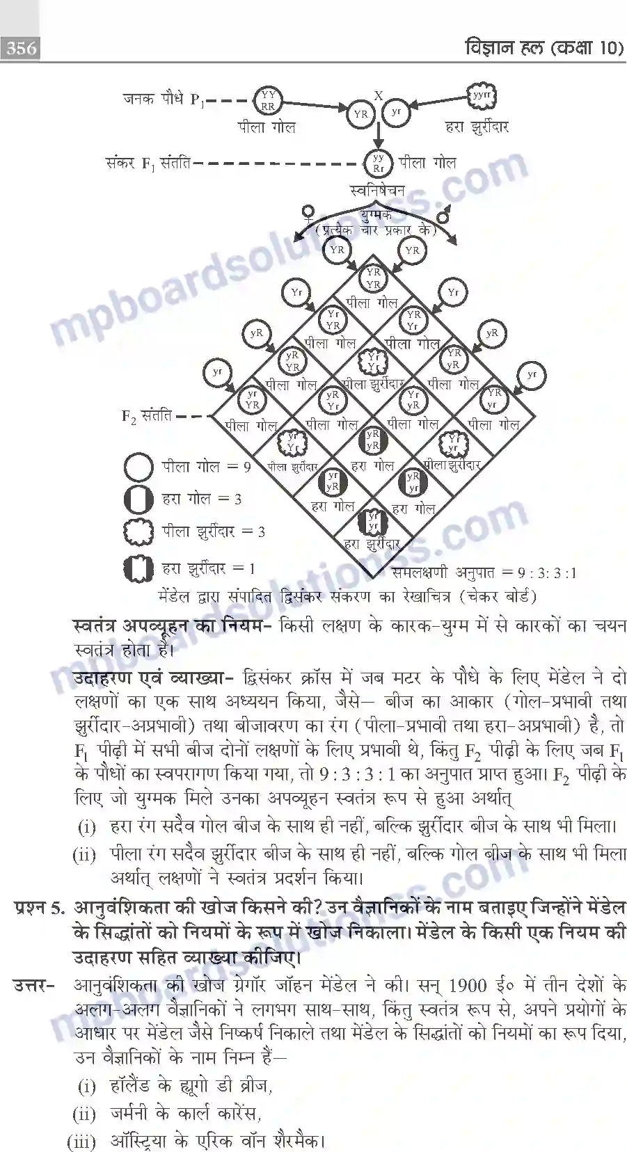 MP Board Book for Class 10 Publication Books Science Image 356