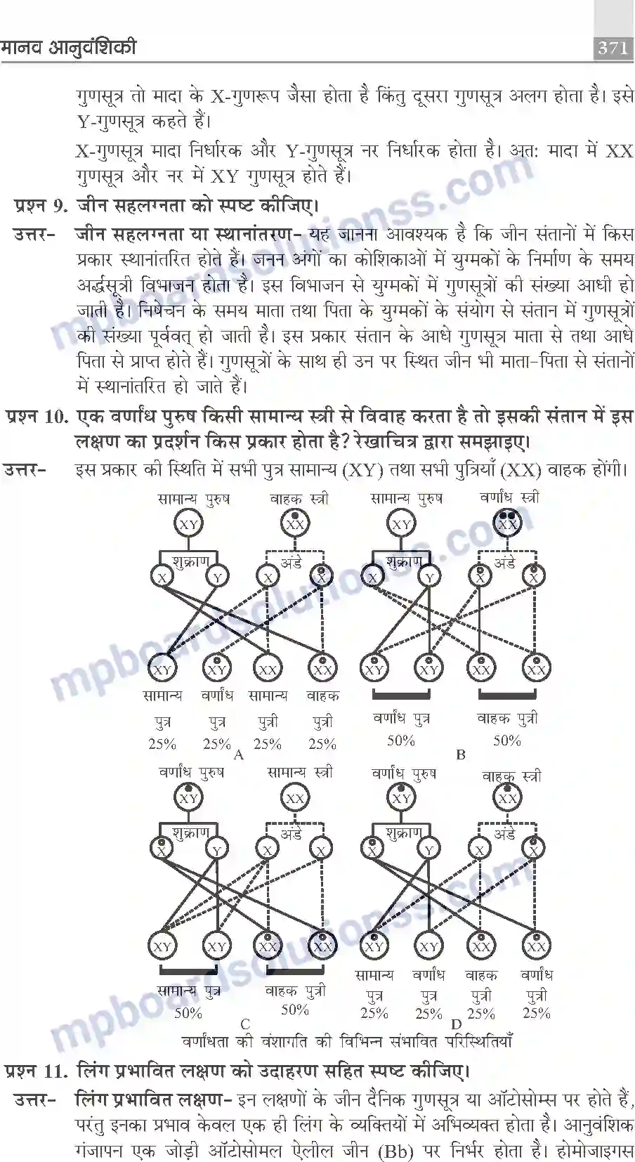 MP Board Book for Class 10 Publication Books Science Image 371