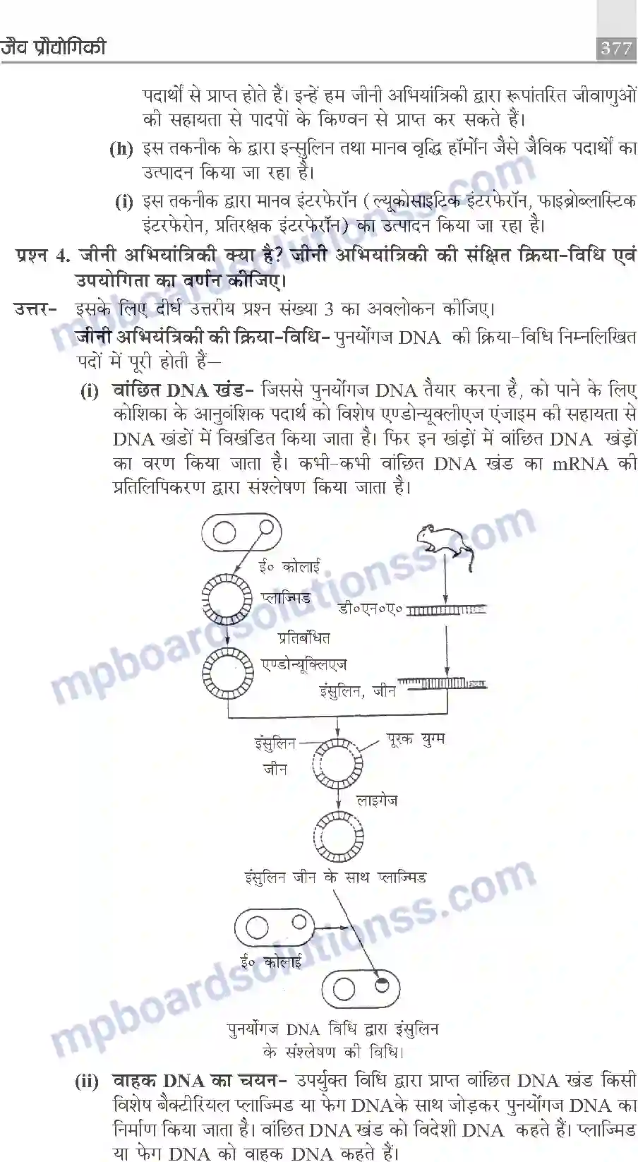 MP Board Book for Class 10 Publication Books Science Image 377