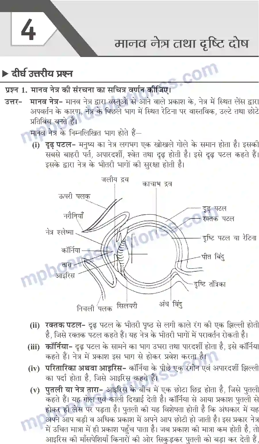 MP Board Book for Class 10 Publication Books Science Image 59