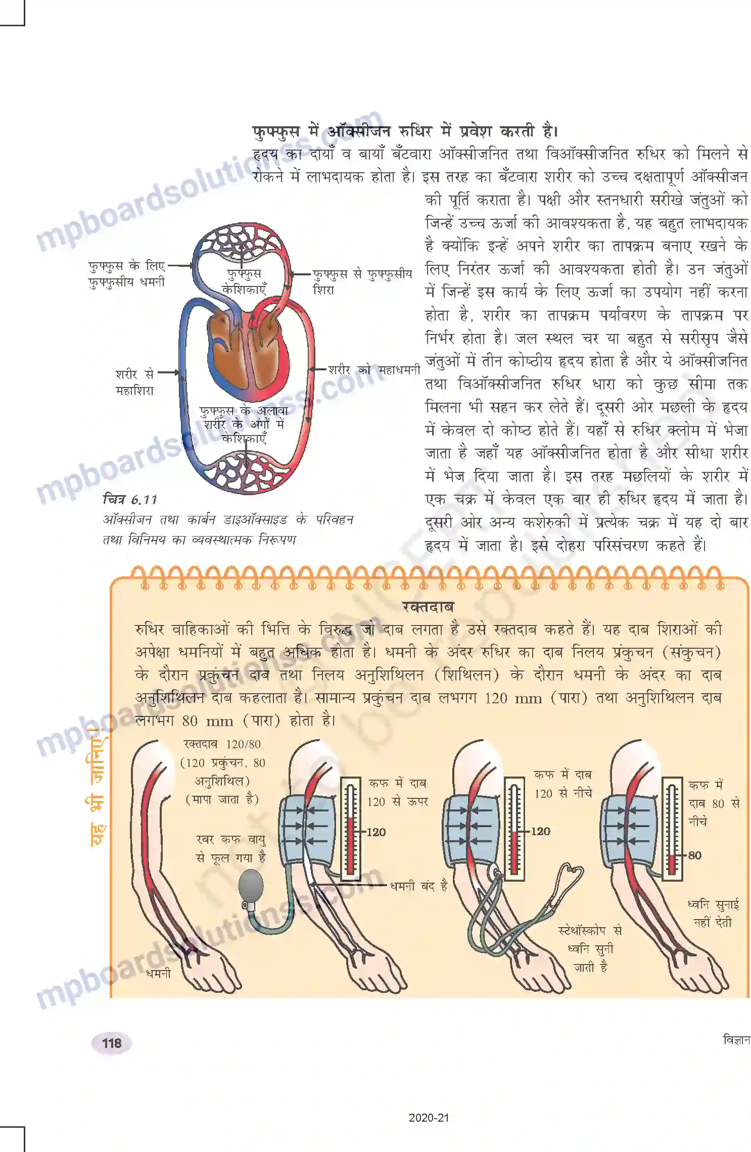 MP Board Book for Class 10 Science जैव प्रक्रम Image 16