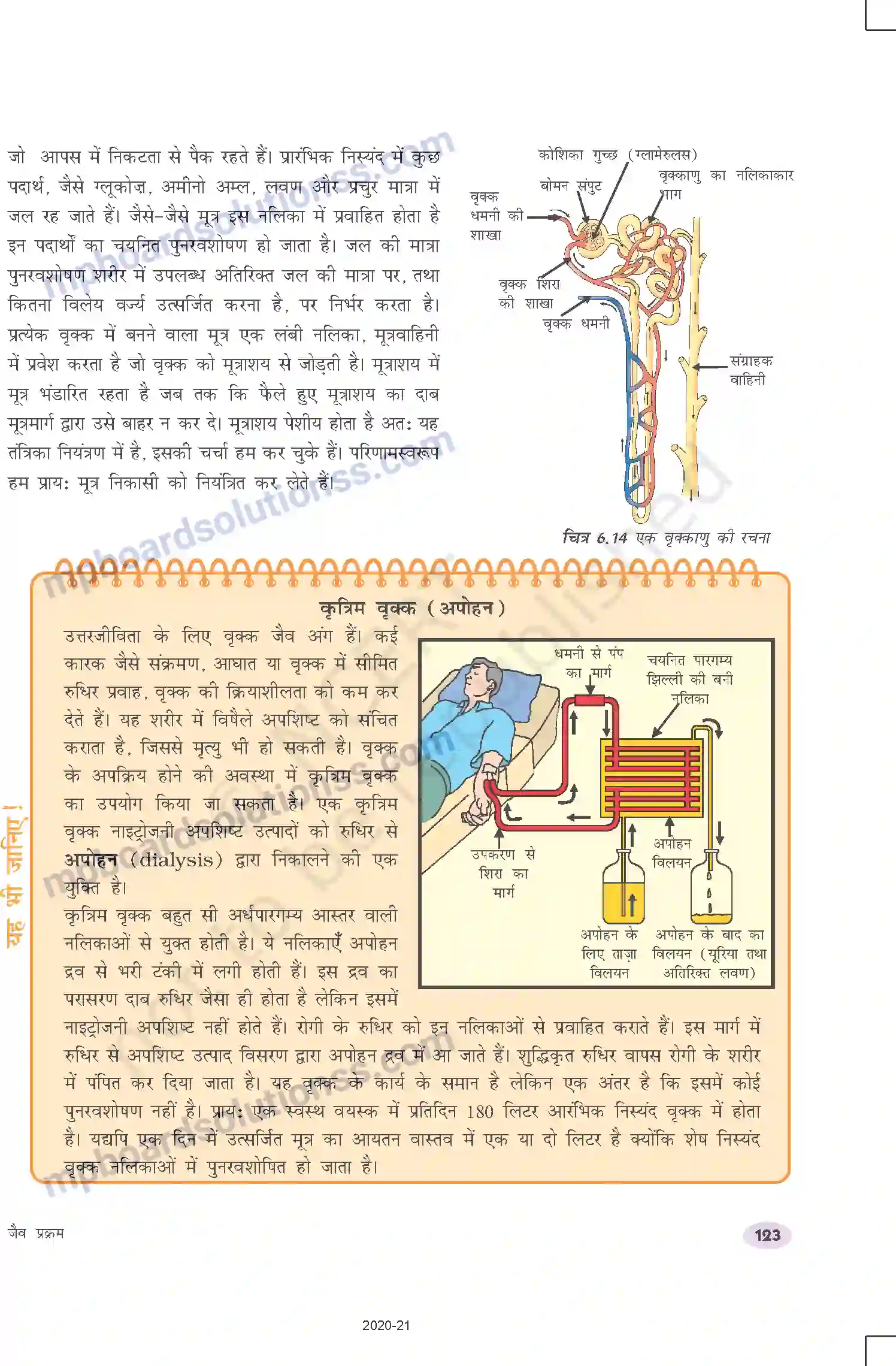 MP Board Book for Class 10 Science जैव प्रक्रम Image 21