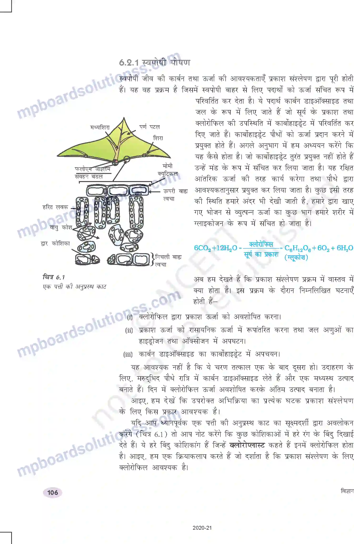 MP Board Book for Class 10 Science जैव प्रक्रम Image 4