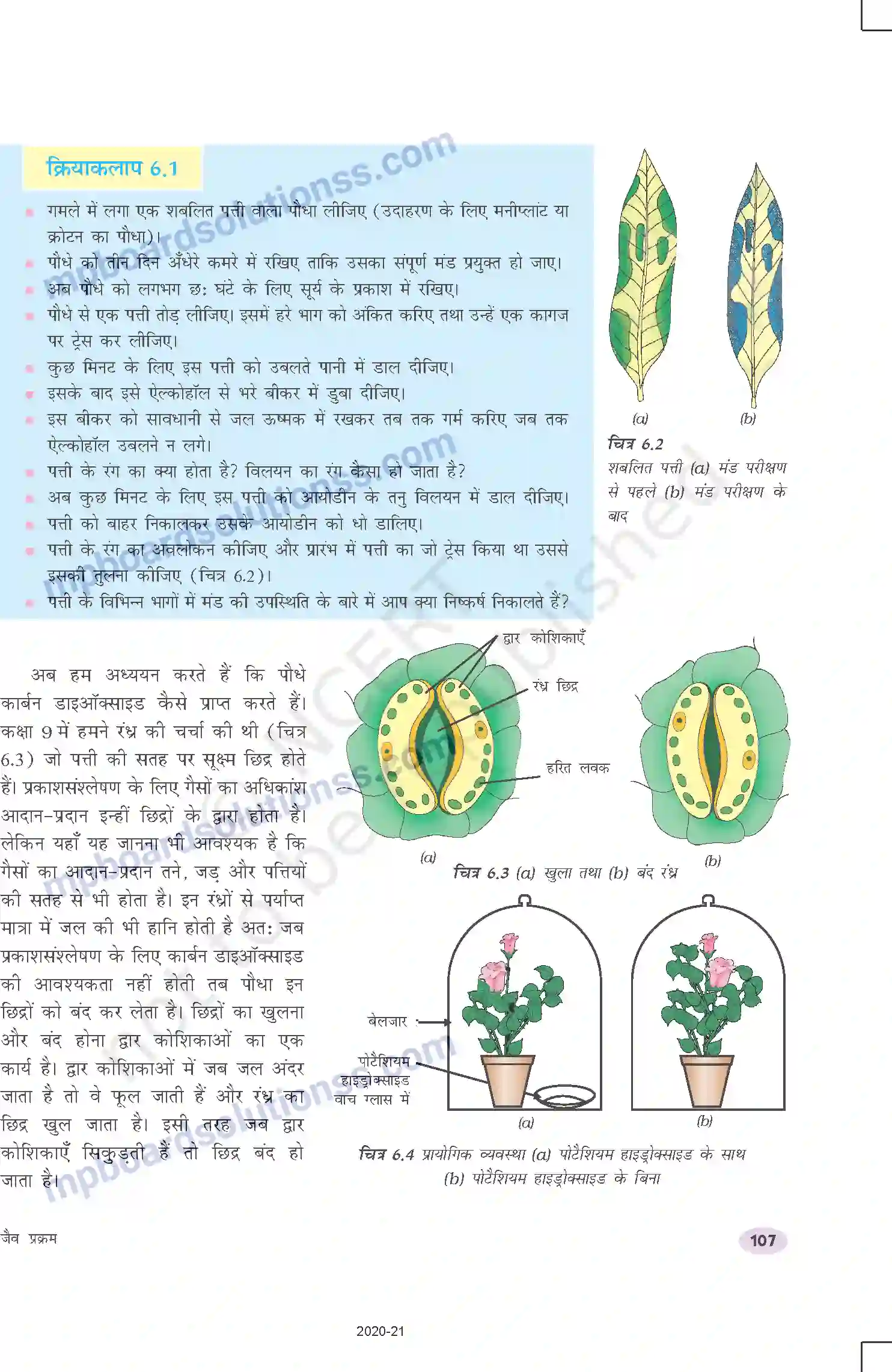 MP Board Book for Class 10 Science जैव प्रक्रम Image 5