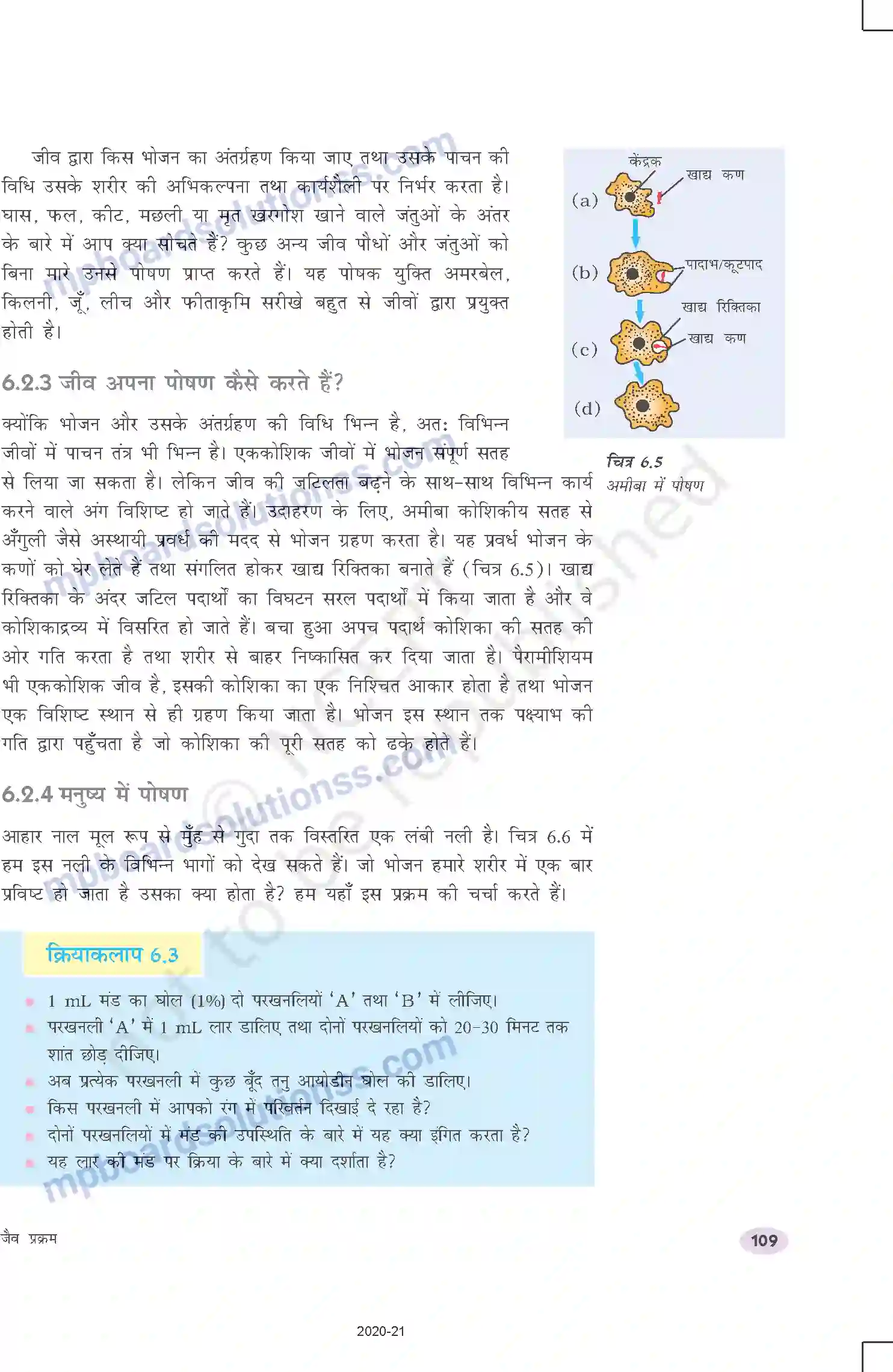 MP Board Book for Class 10 Science जैव प्रक्रम Image 7