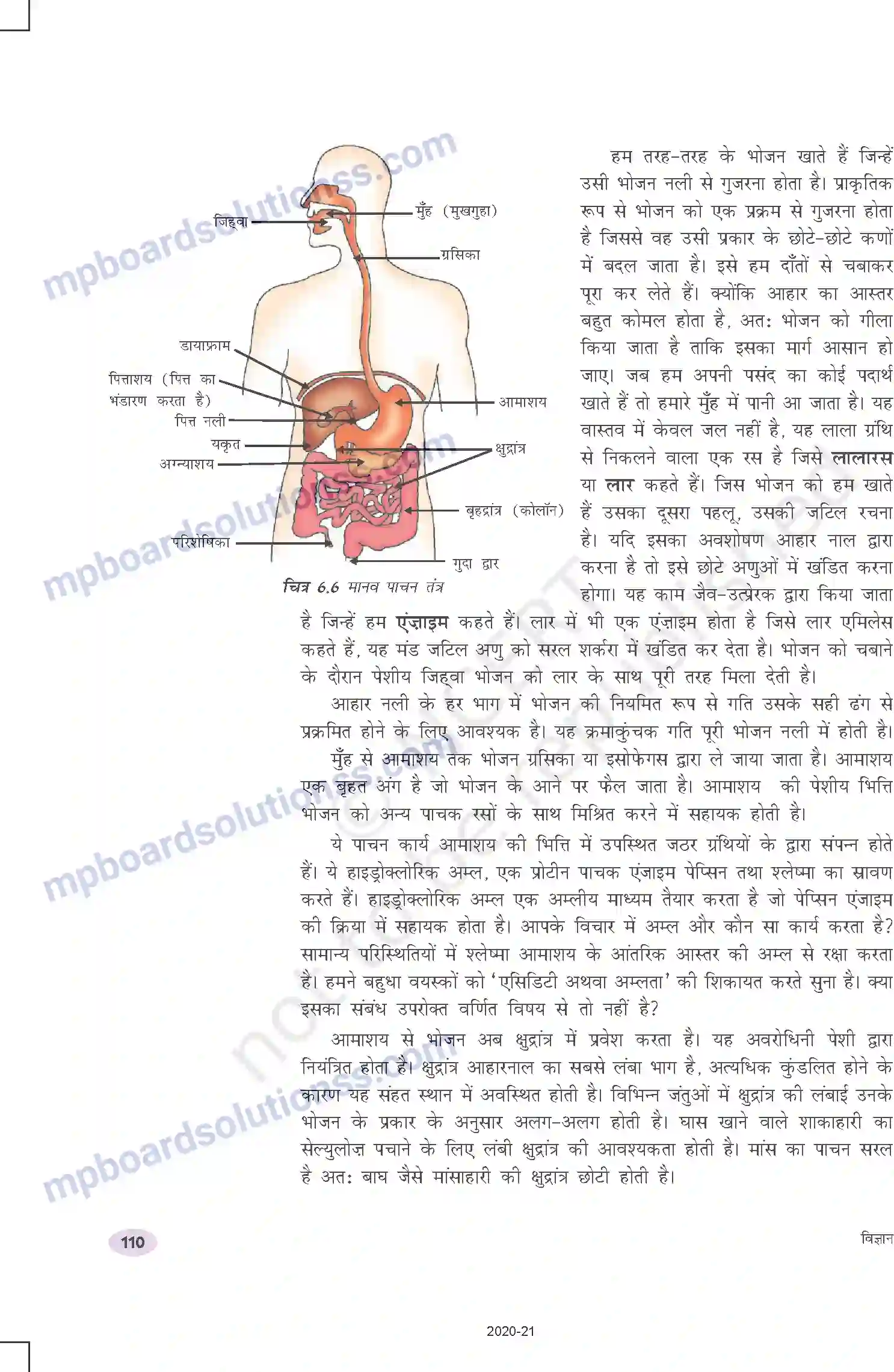 MP Board Book for Class 10 Science जैव प्रक्रम Image 8