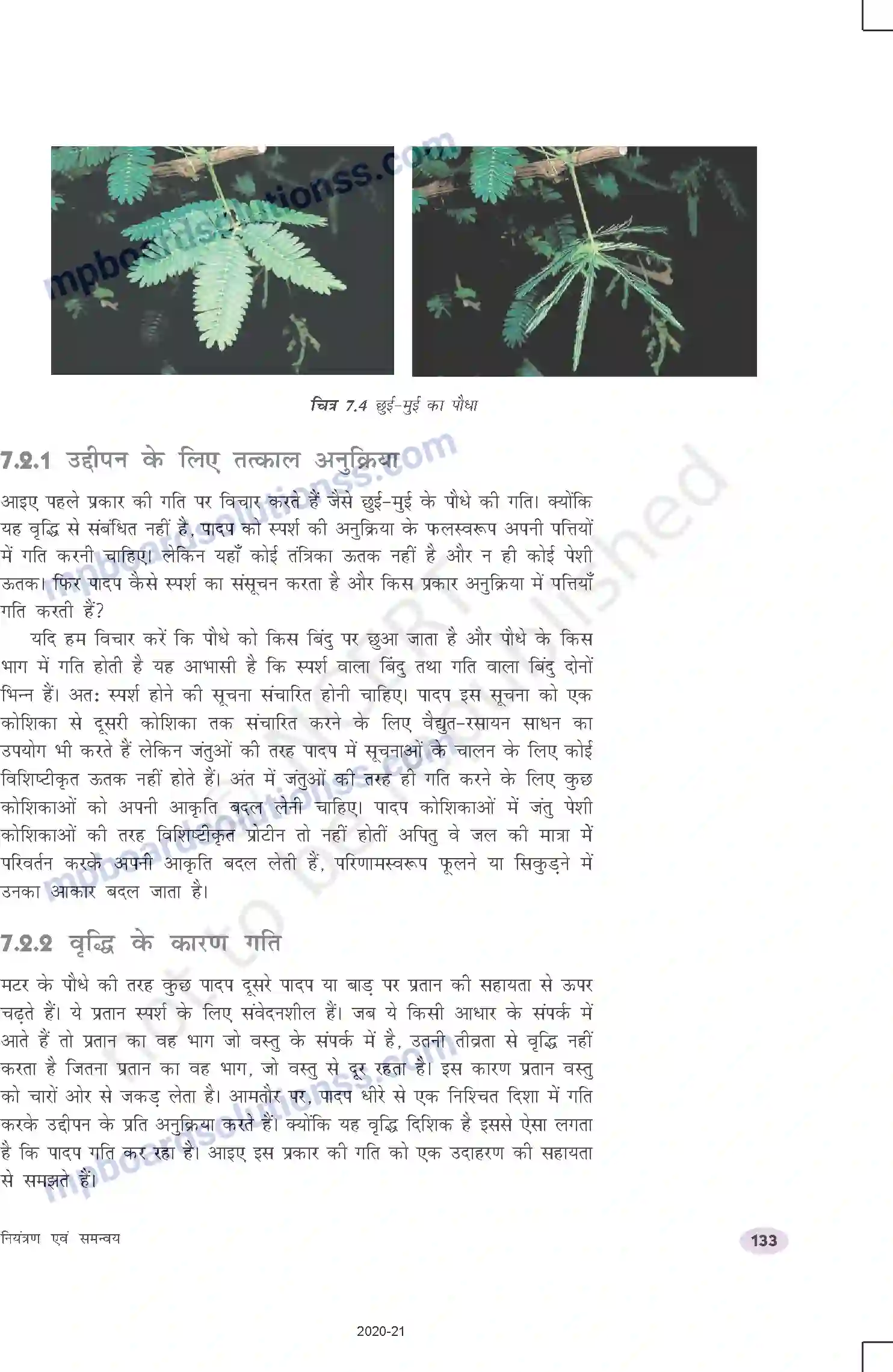 MP Board Book for Class 10 Science नियंत्रण एवं समन्वय Image 8