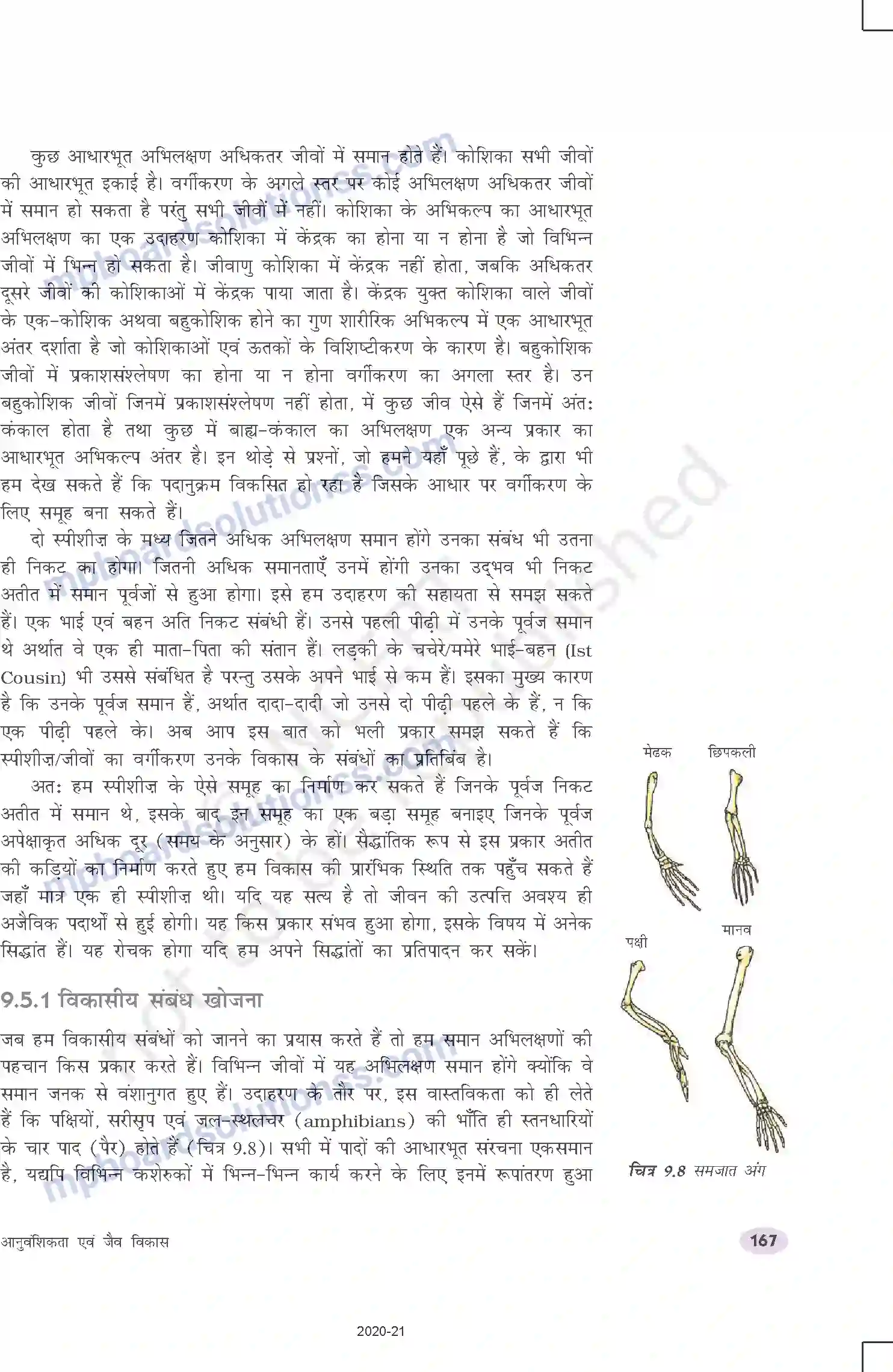 MP Board Book for Class 10 Science आनुवंशिकता एवं जैव विकास Image 12
