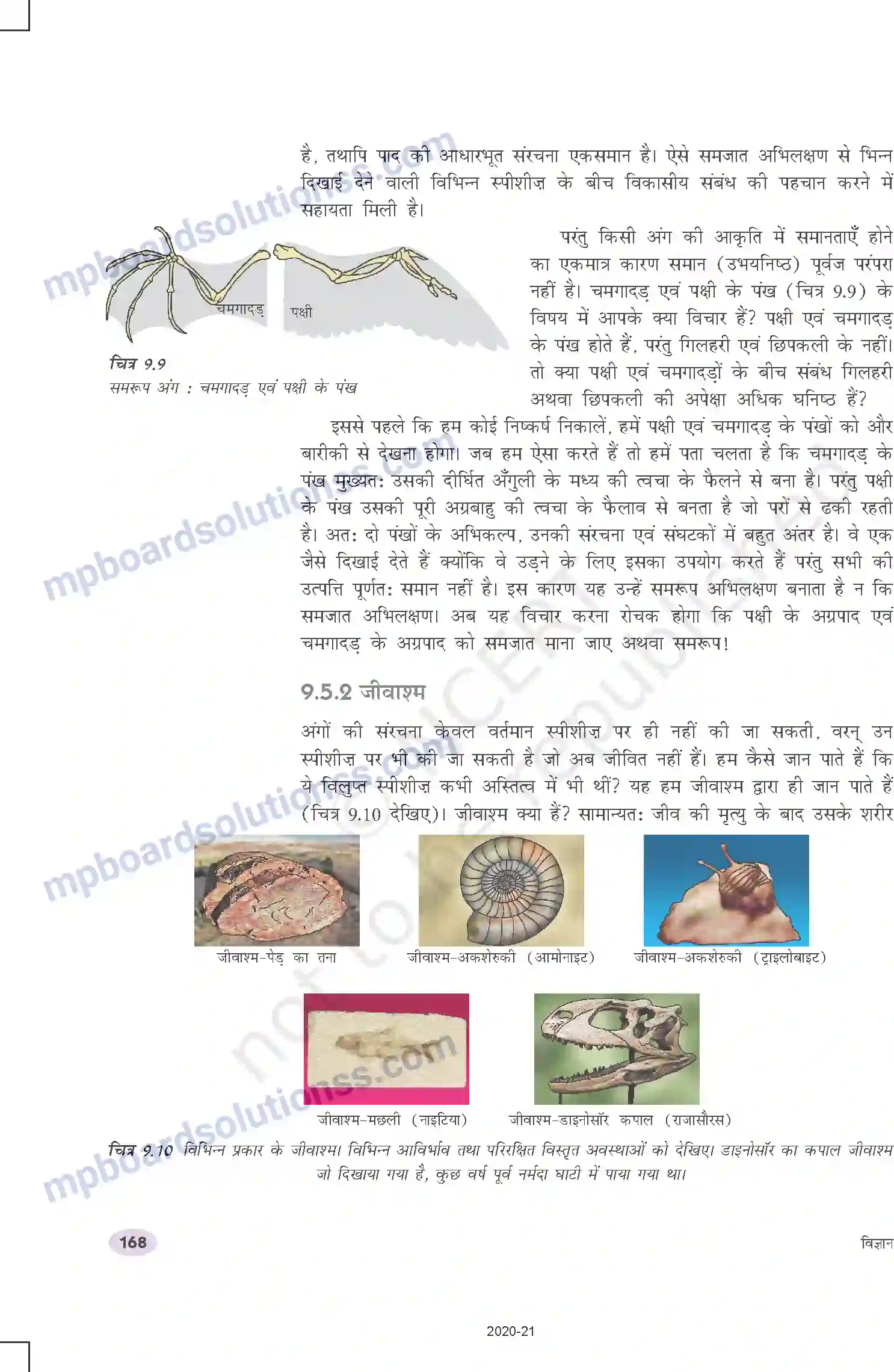 MP Board Book for Class 10 Science आनुवंशिकता एवं जैव विकास Image 13