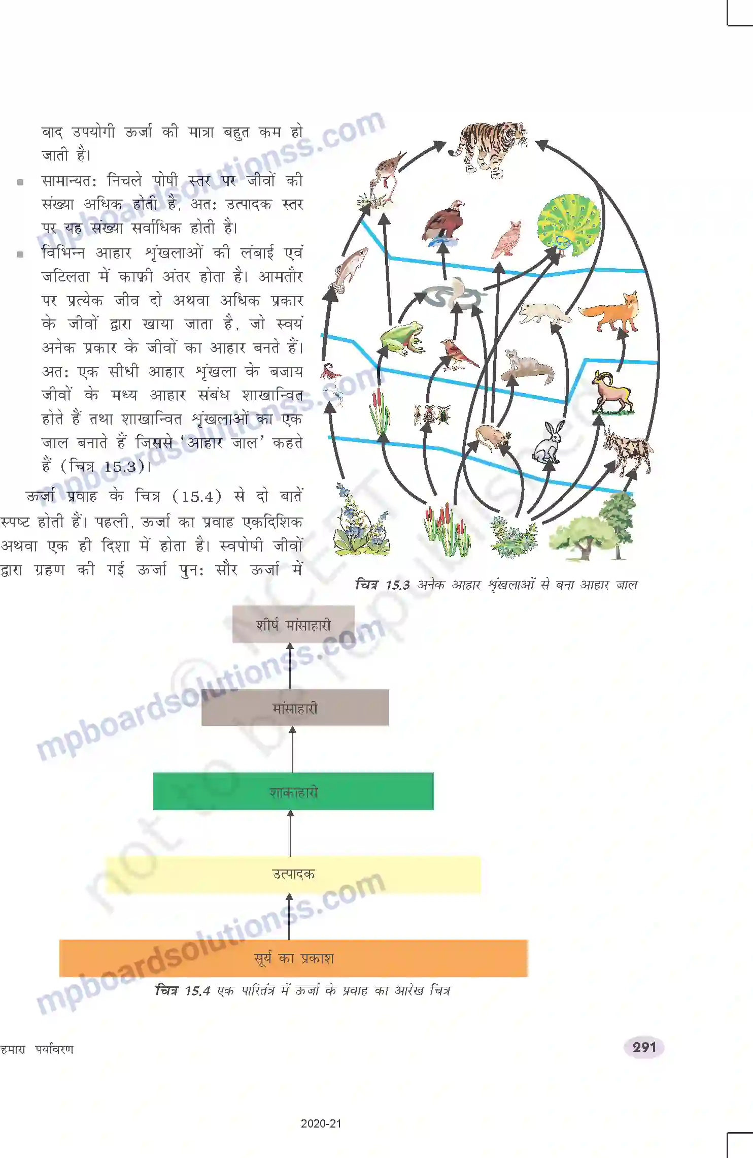 MP Board Book for Class 10 Science हमारा पर्यावरण Image 4