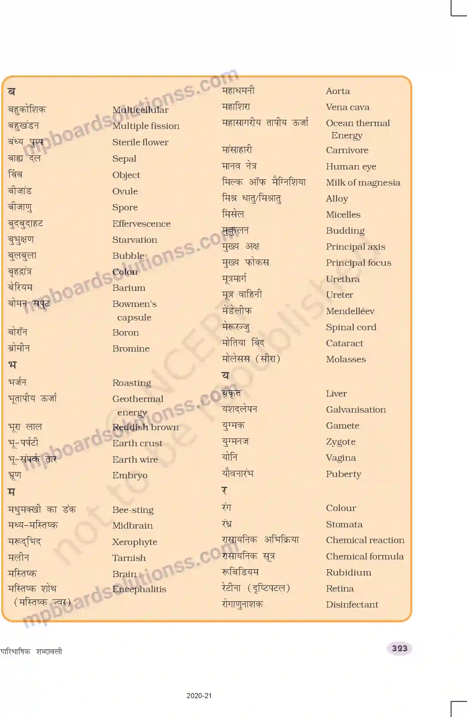 MP Board Book for Class 10 Science पारिभाषिक शब्दावली Image 7