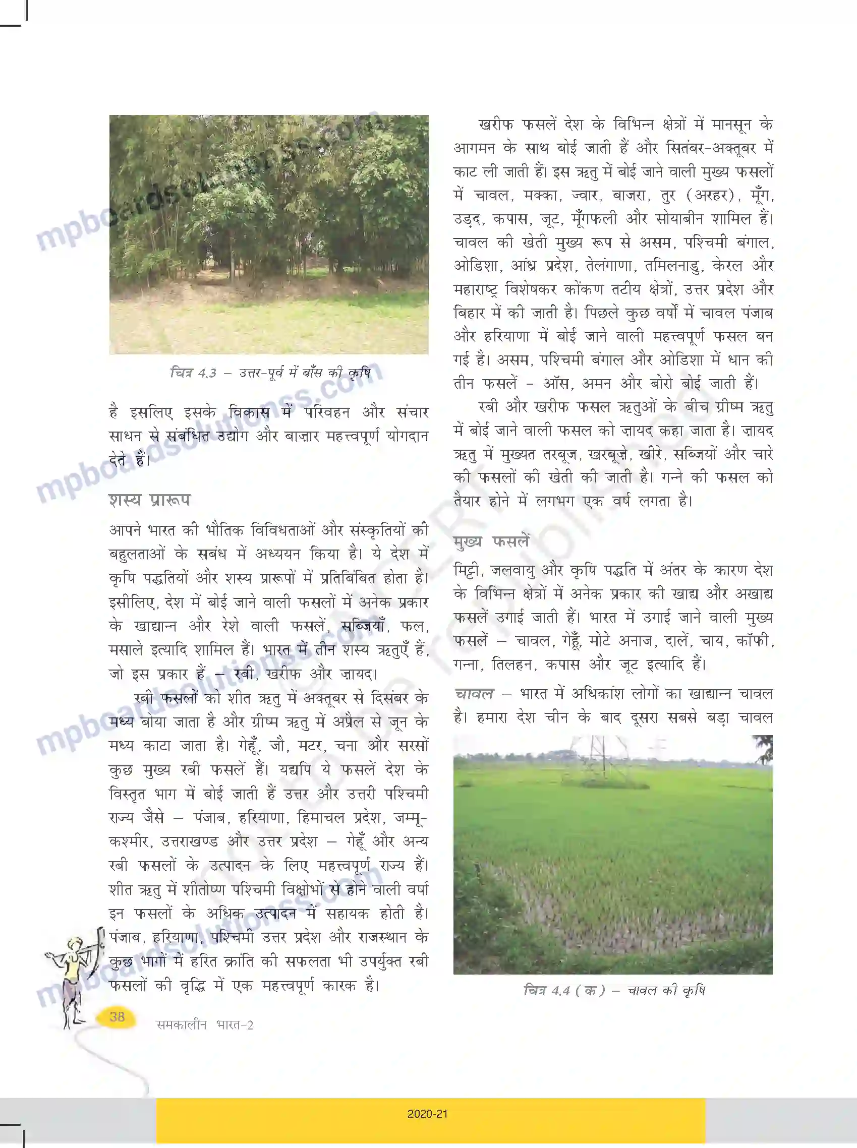 MP Board Book for Class 10 Social Science कृषि Image 3