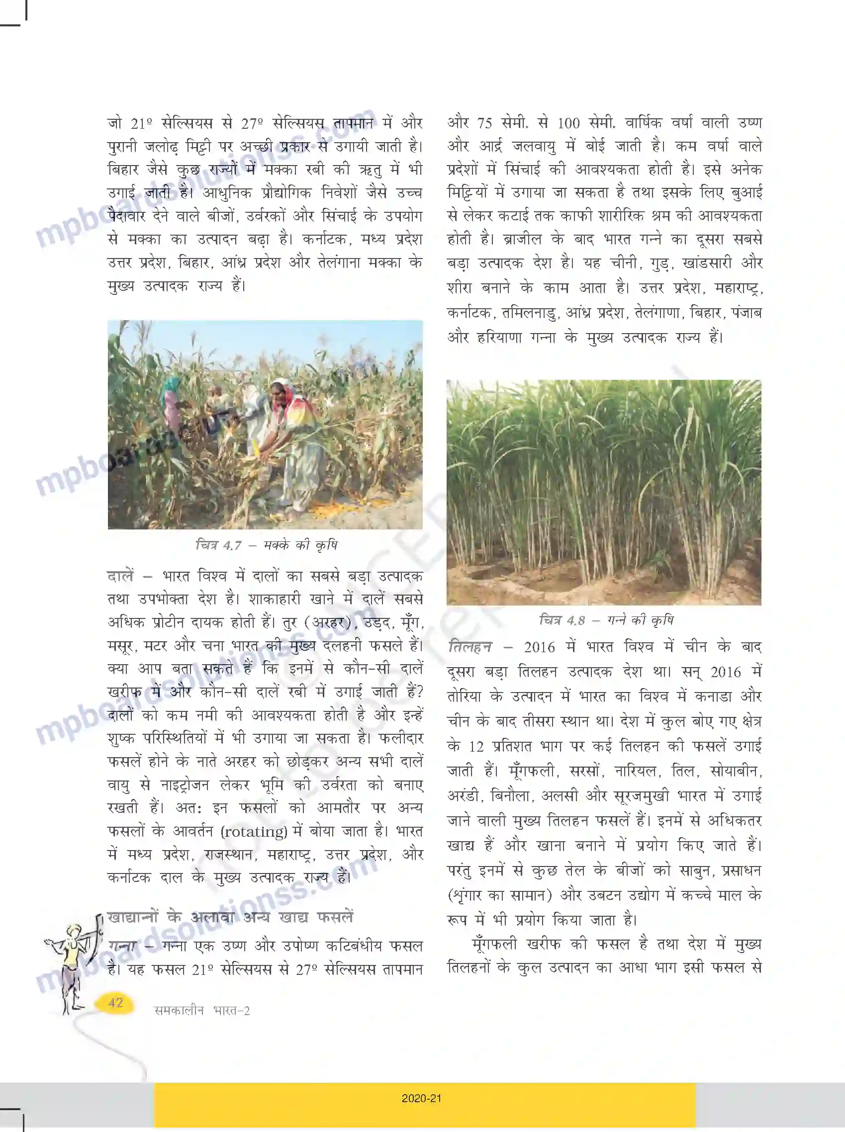 MP Board Book for Class 10 Social Science कृषि Image 7