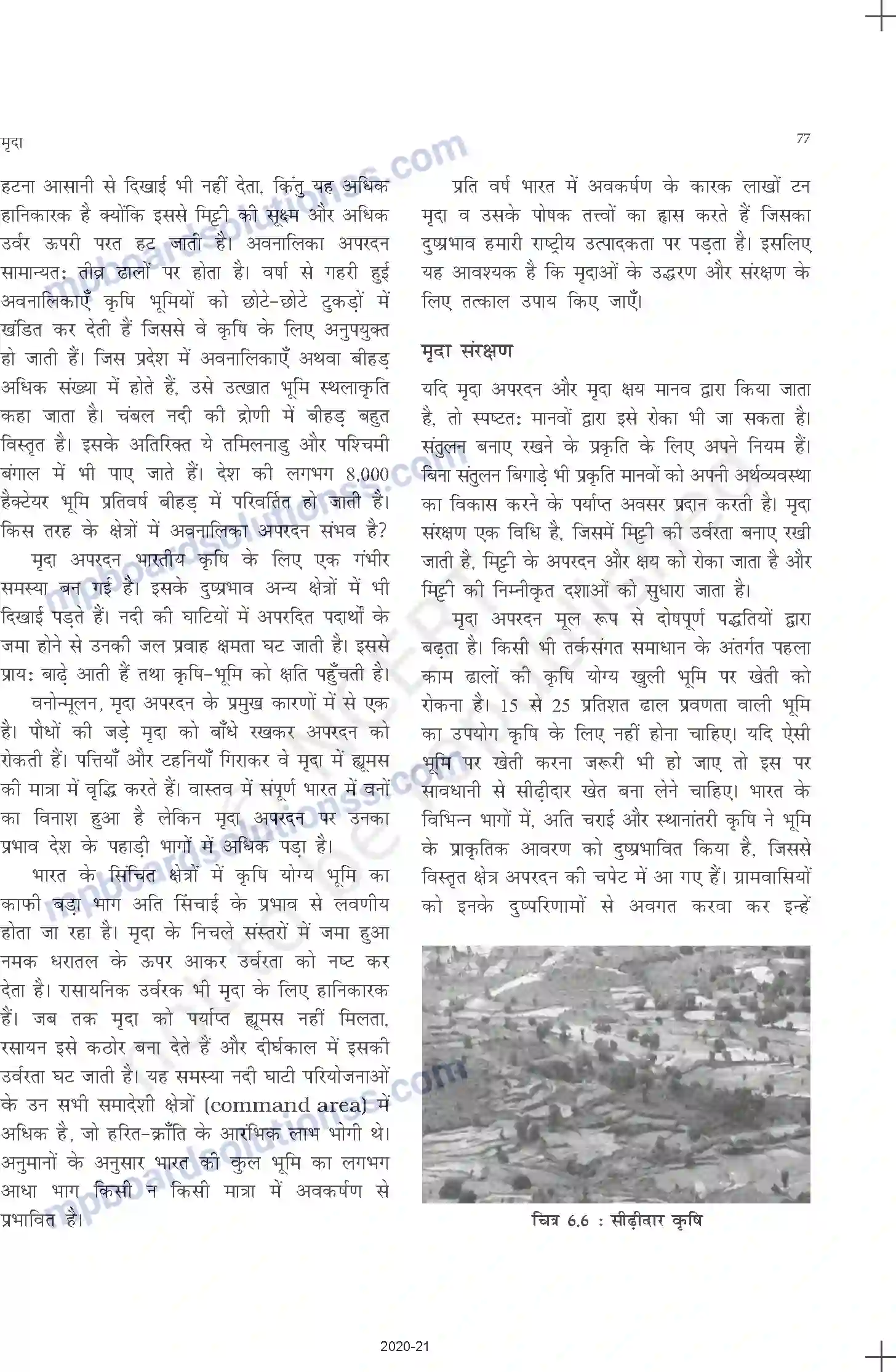 MP Board Book for Class 11 Geography मृदा Image 7