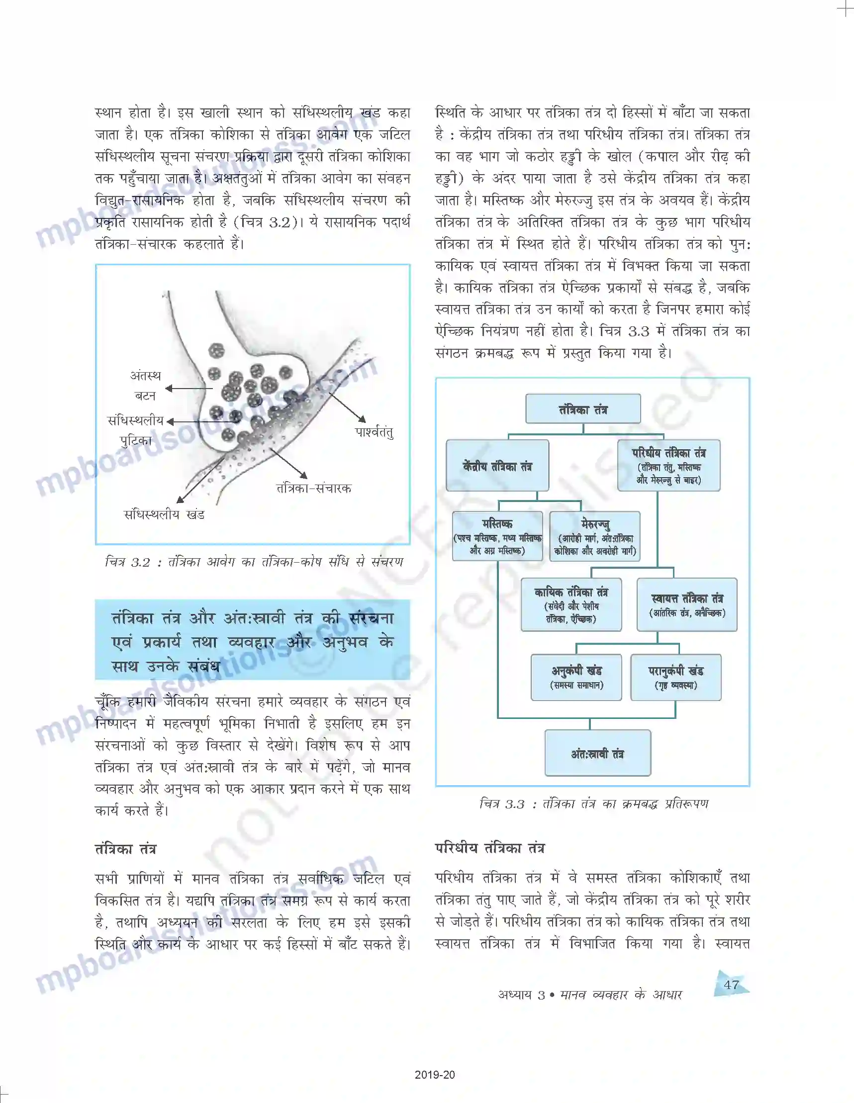 MP Board Book for Class 11 Psychology मानव व्यवहार के आधार Image 5