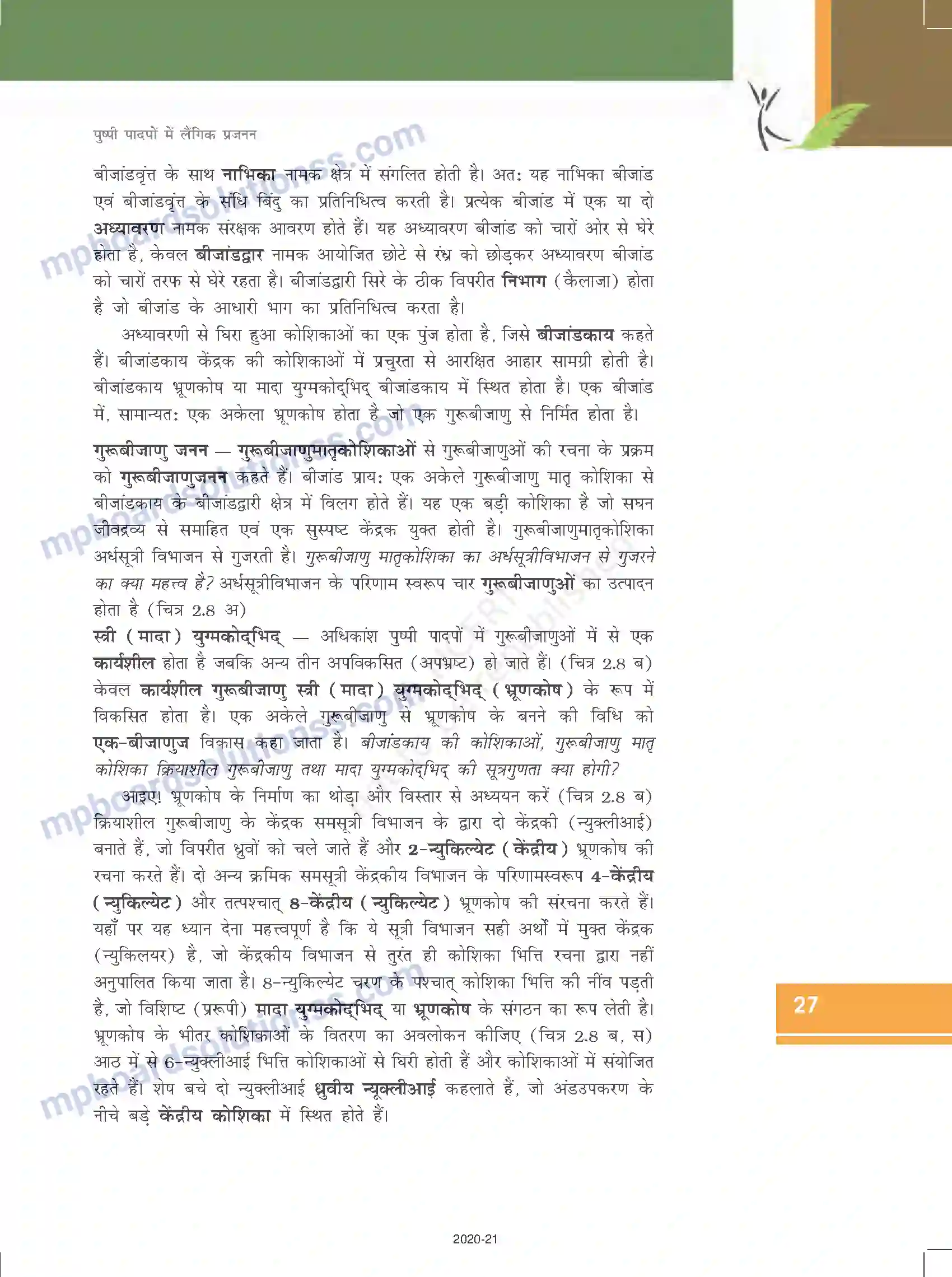 MP Board Book for Class 12 Biology पुष्पी पादपों में लैंगिक जनन Image 8