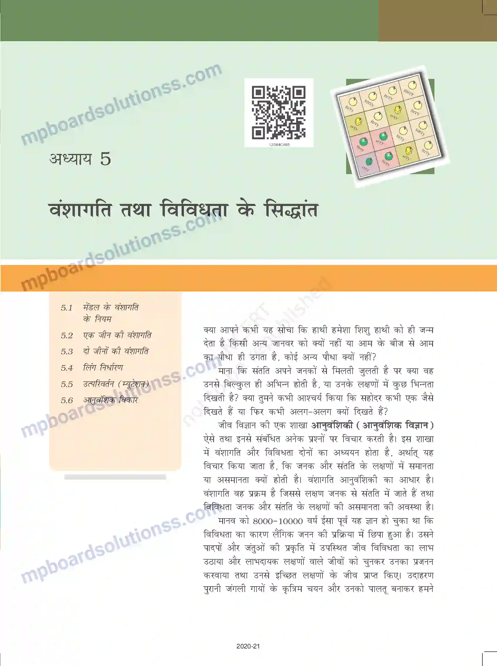 MP Board Book for Class 12 Biology वंशागति तथा विविधता के सिद्धांत Image 3