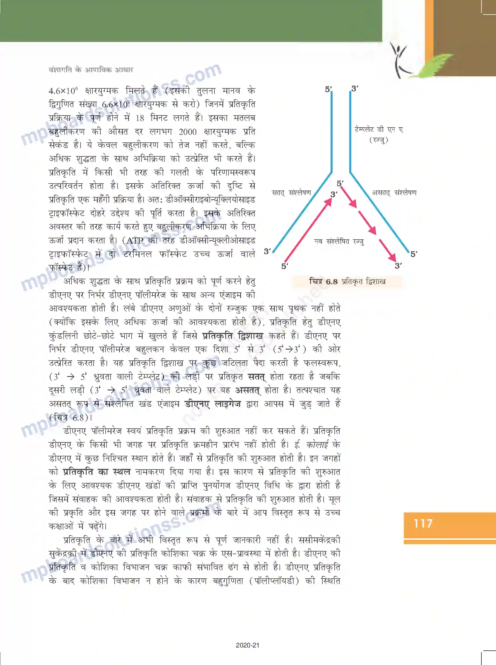 MP Board Book for Class 12 Biology वंशागति के आणविक आधार Image 13